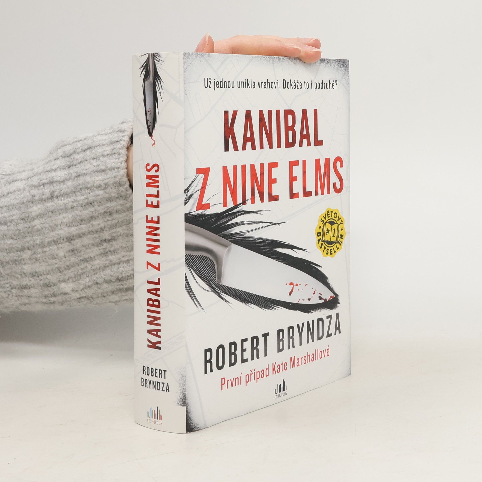 Robert Bryndza Kanibal z Nine Elms