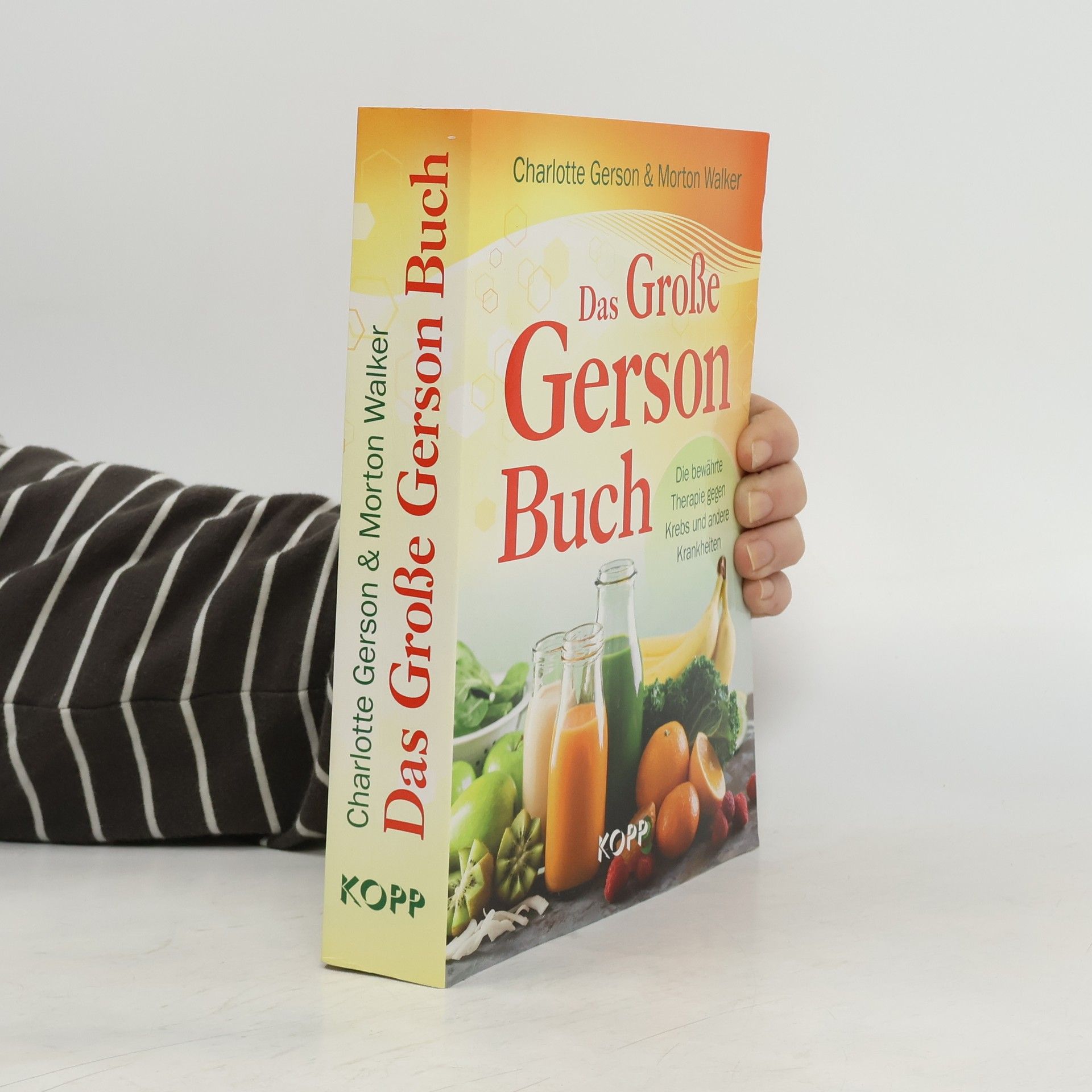 Charlotte Gerson Das große Gerson Buch