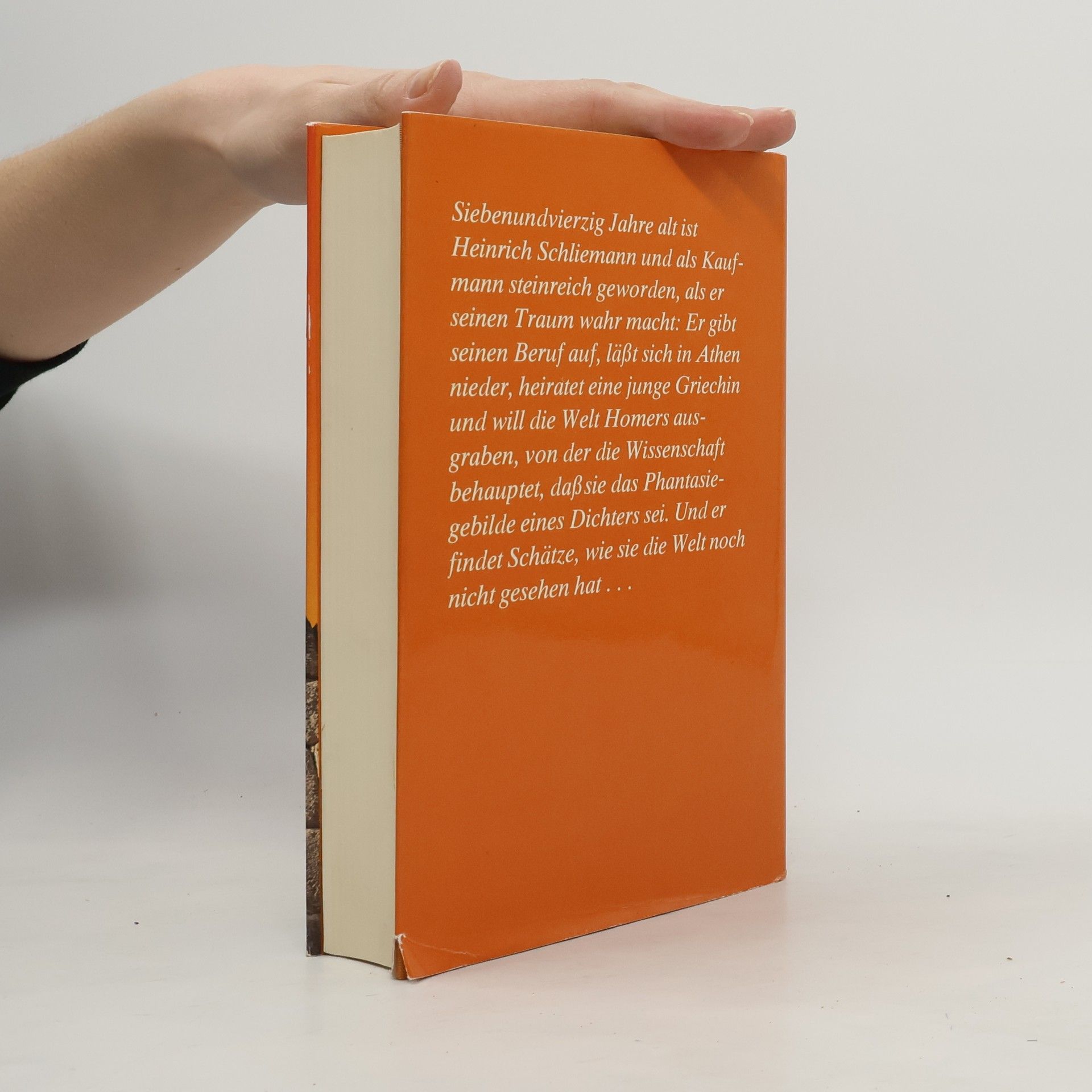 Irving Stone Der griechische Schatz