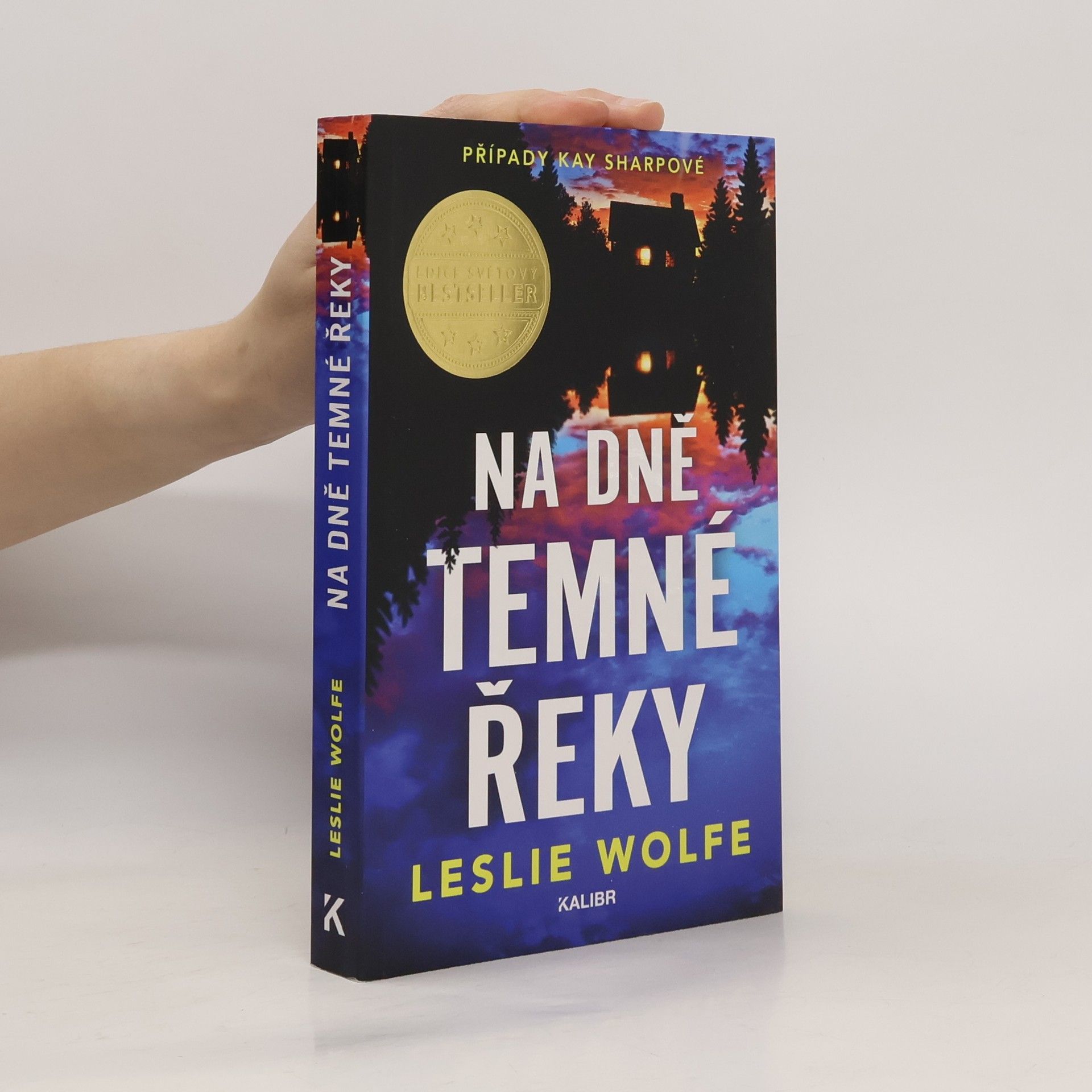 Leslie Wolfe Na dně Temné řeky