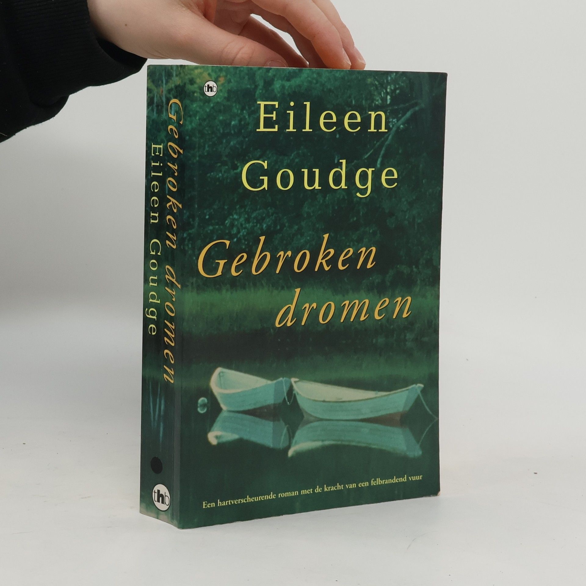 Eileen Goudge Gebroken dromen