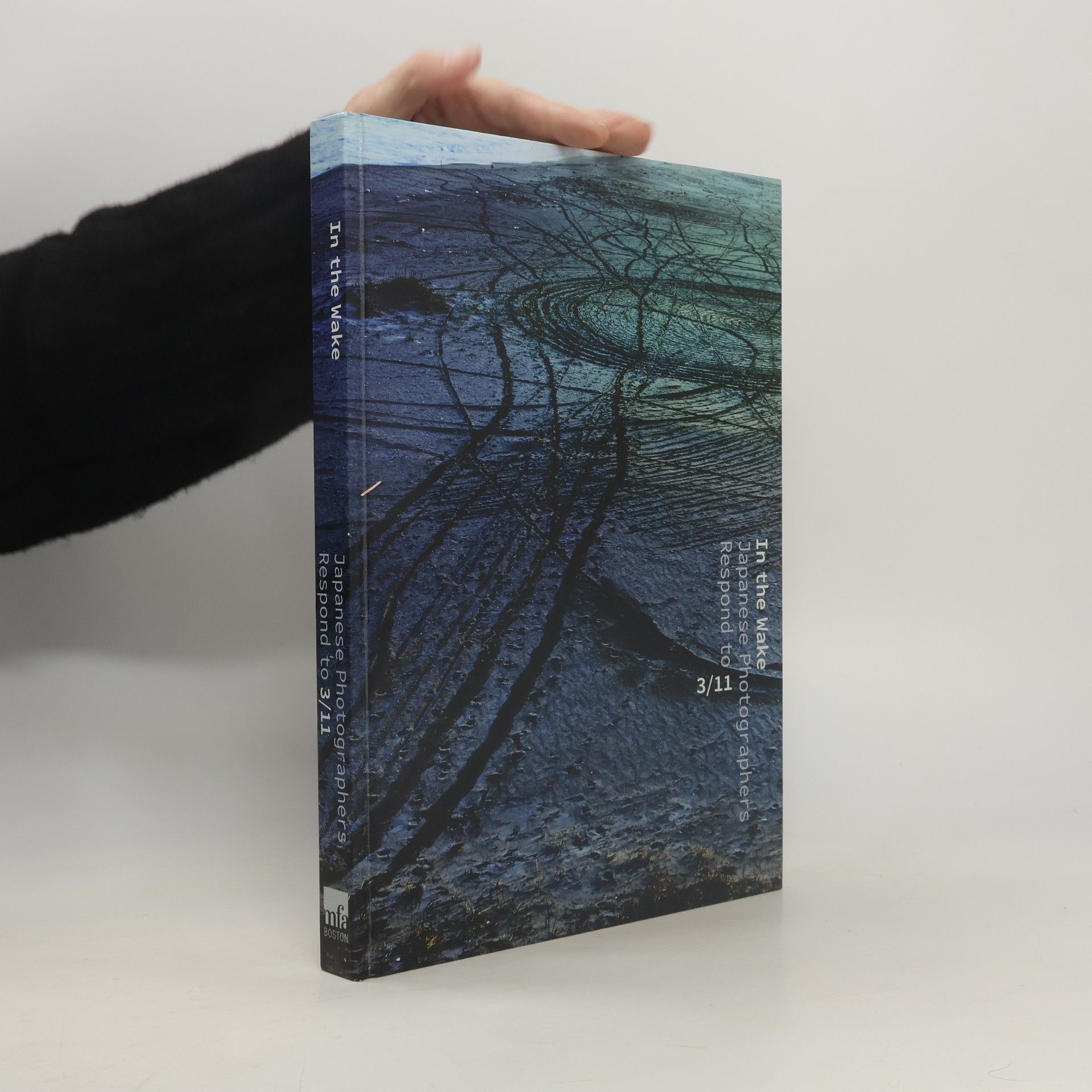 Michio Hayashi In the Wake