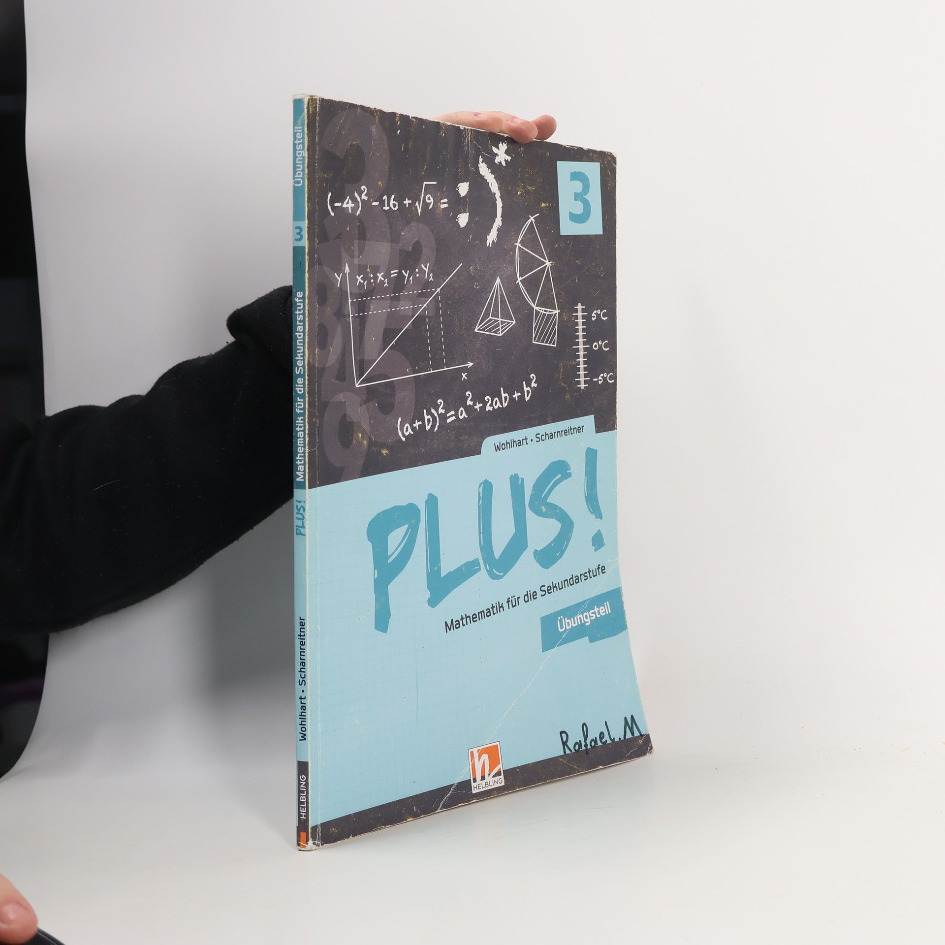 David Wohlhart PLUS! Mathematik für die Sekundarstufe