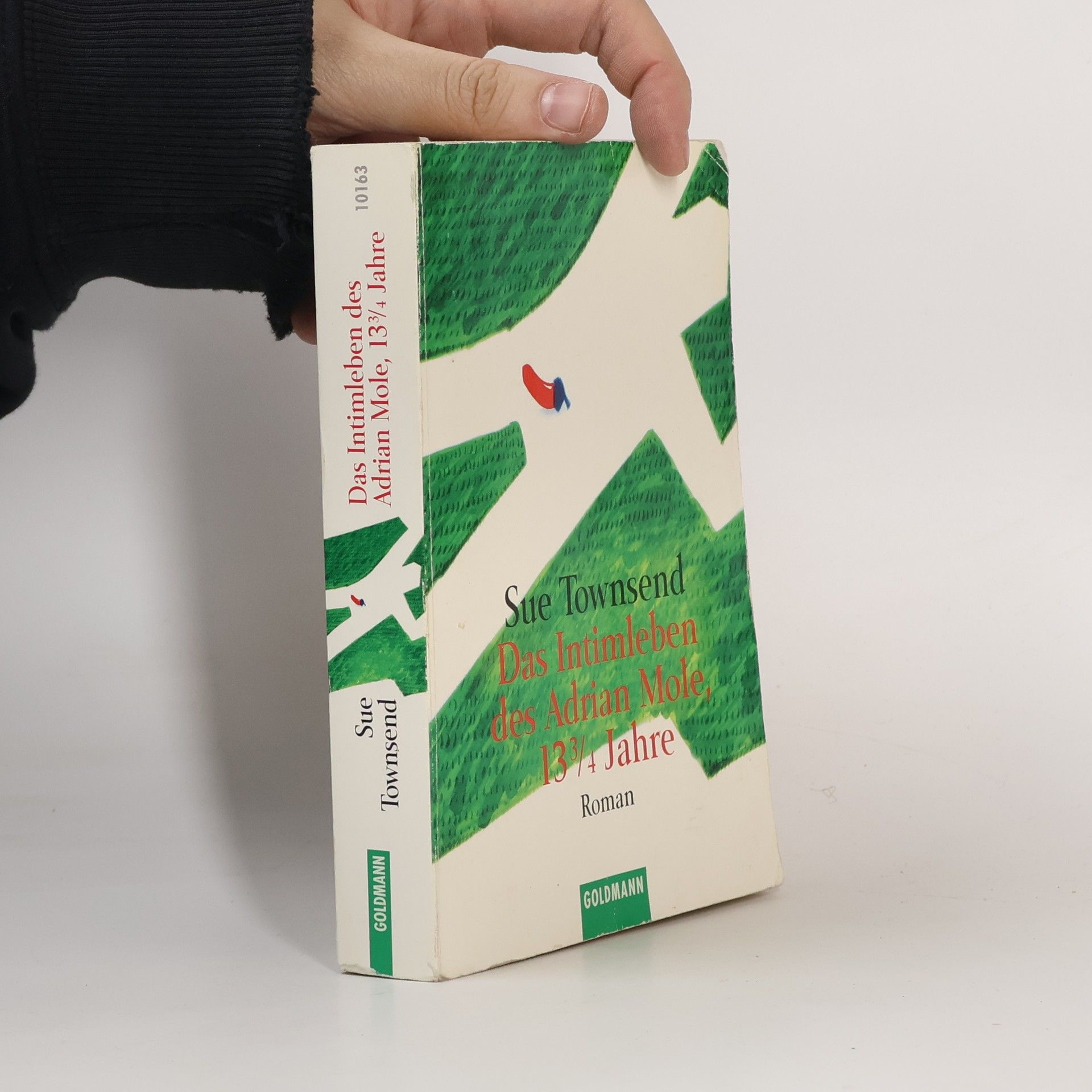Sue Townsend Das Intimleben des Adrian Mole, 13 3/4 Jahre alt