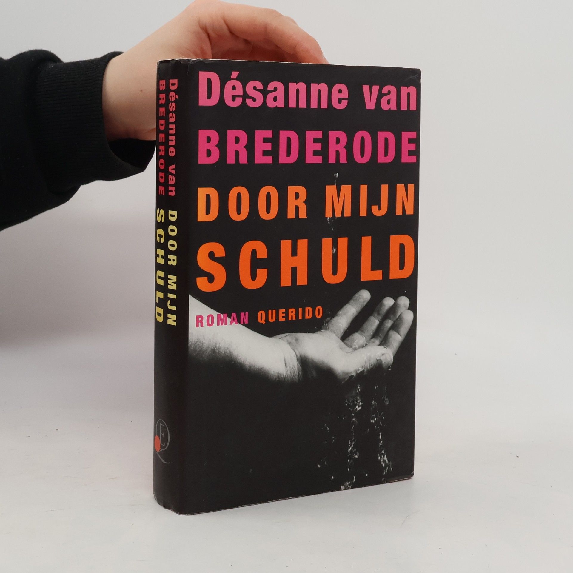 Désanne van Brederode Door mijn schuld