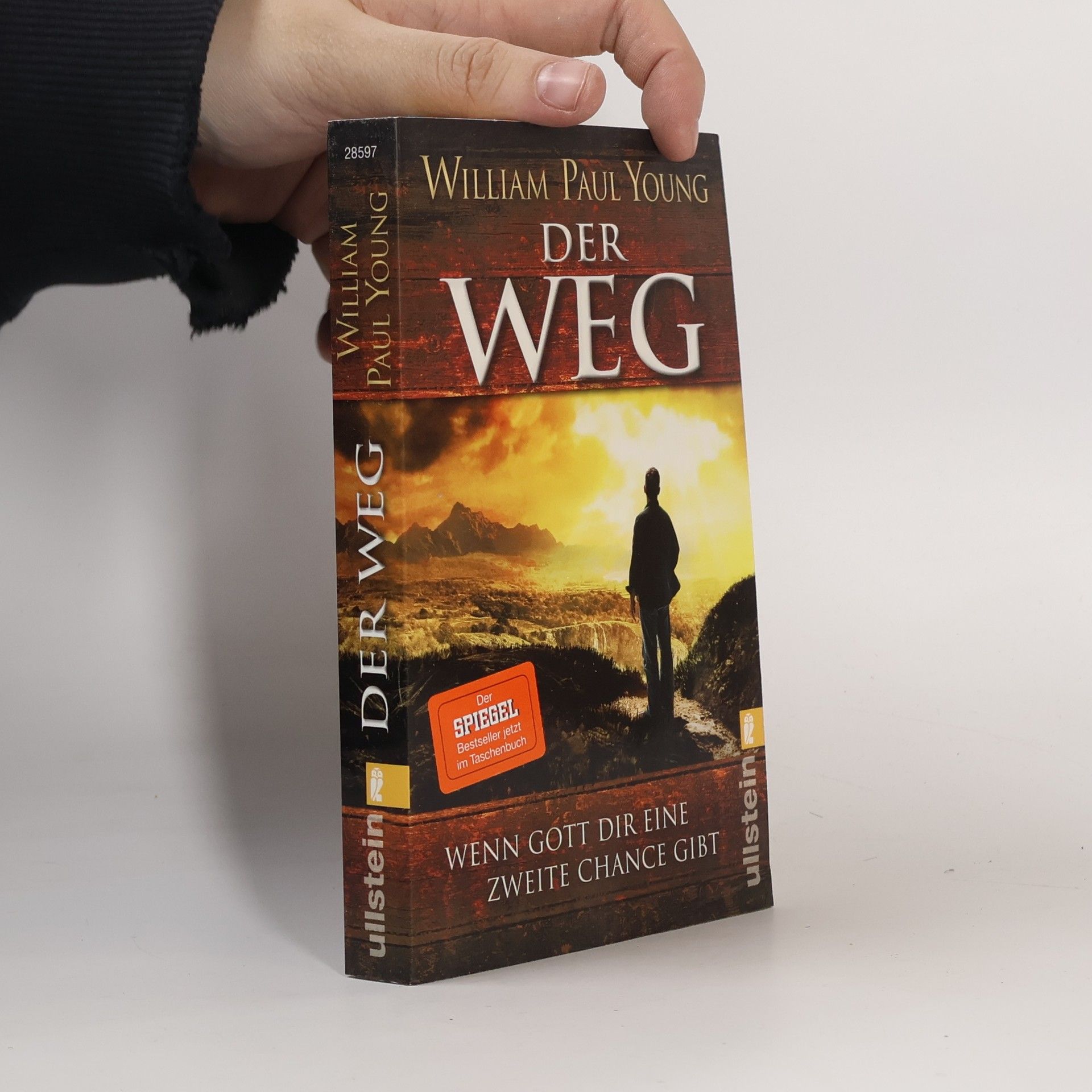 William P. Young Der Weg