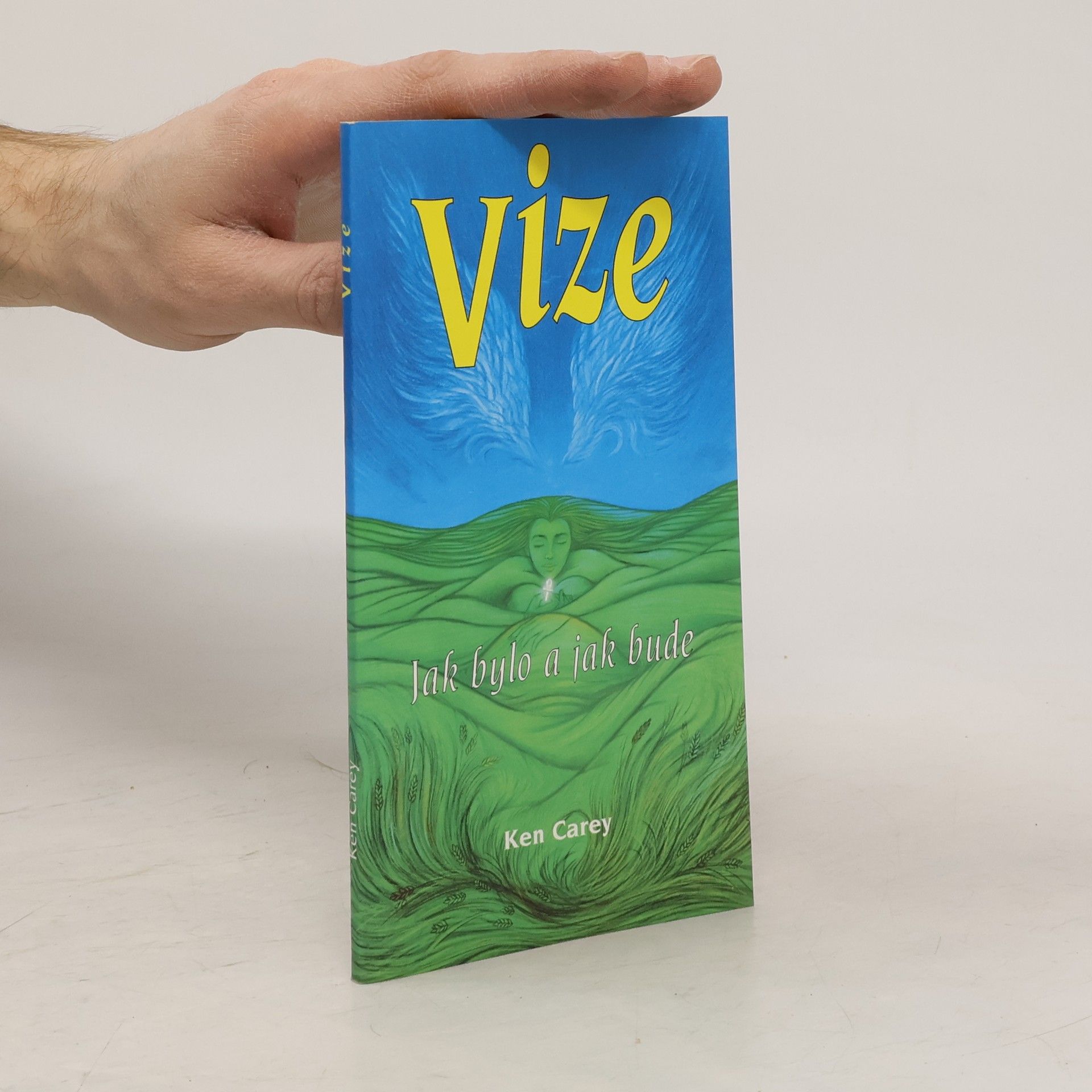 Ken Carey Vize : jak bylo a jak bude