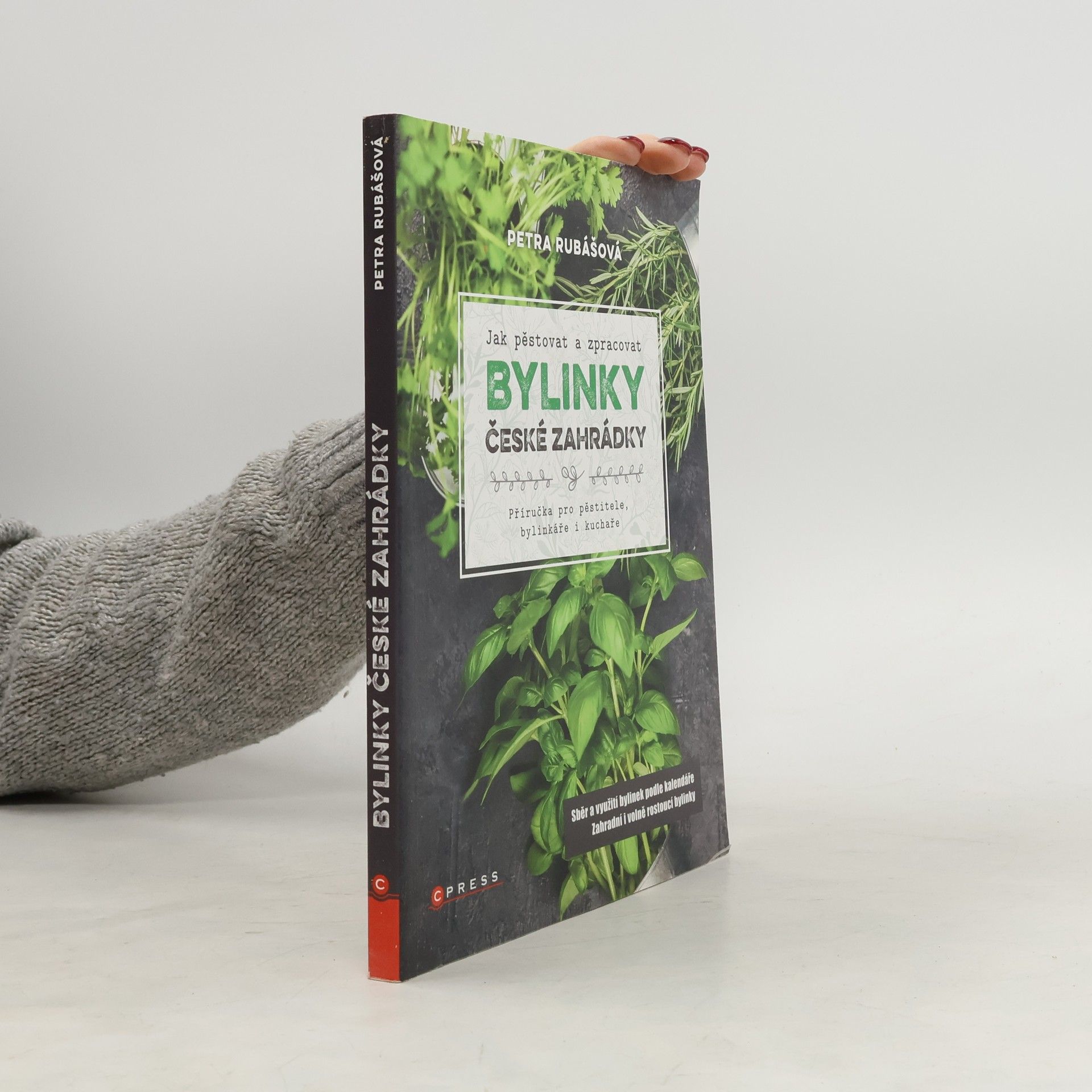 Petra Rubášová Jak pěstovat a zpracovat bylinky české zahrádky