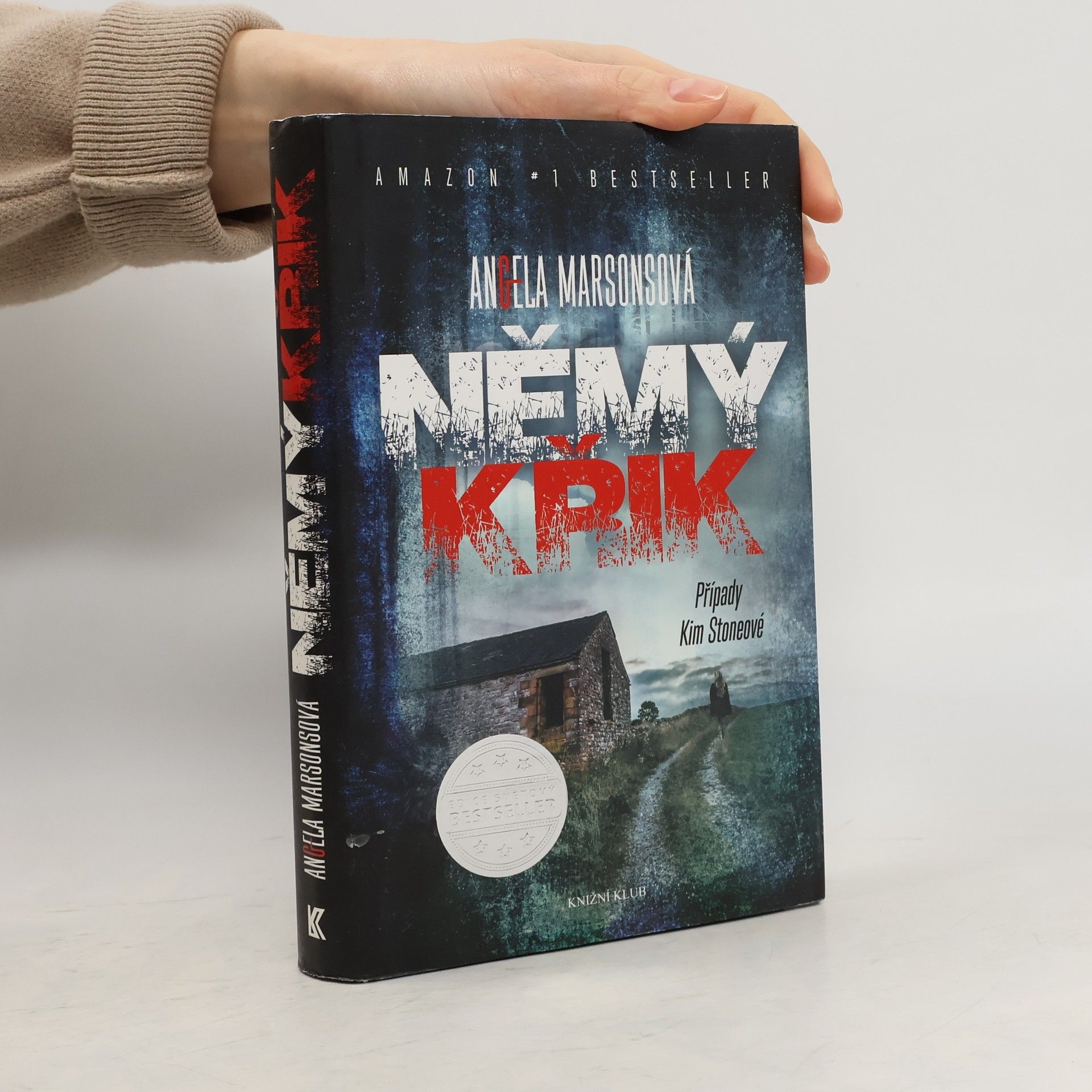 Angela Marsons Němý křik