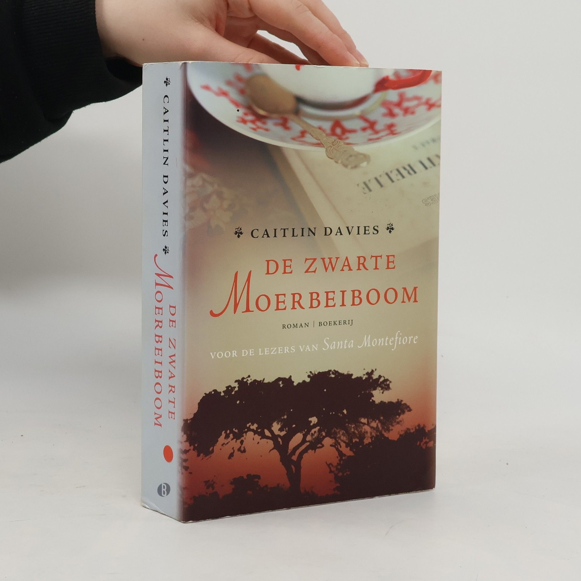 Caitlin Davies De zwarte moerbeiboom