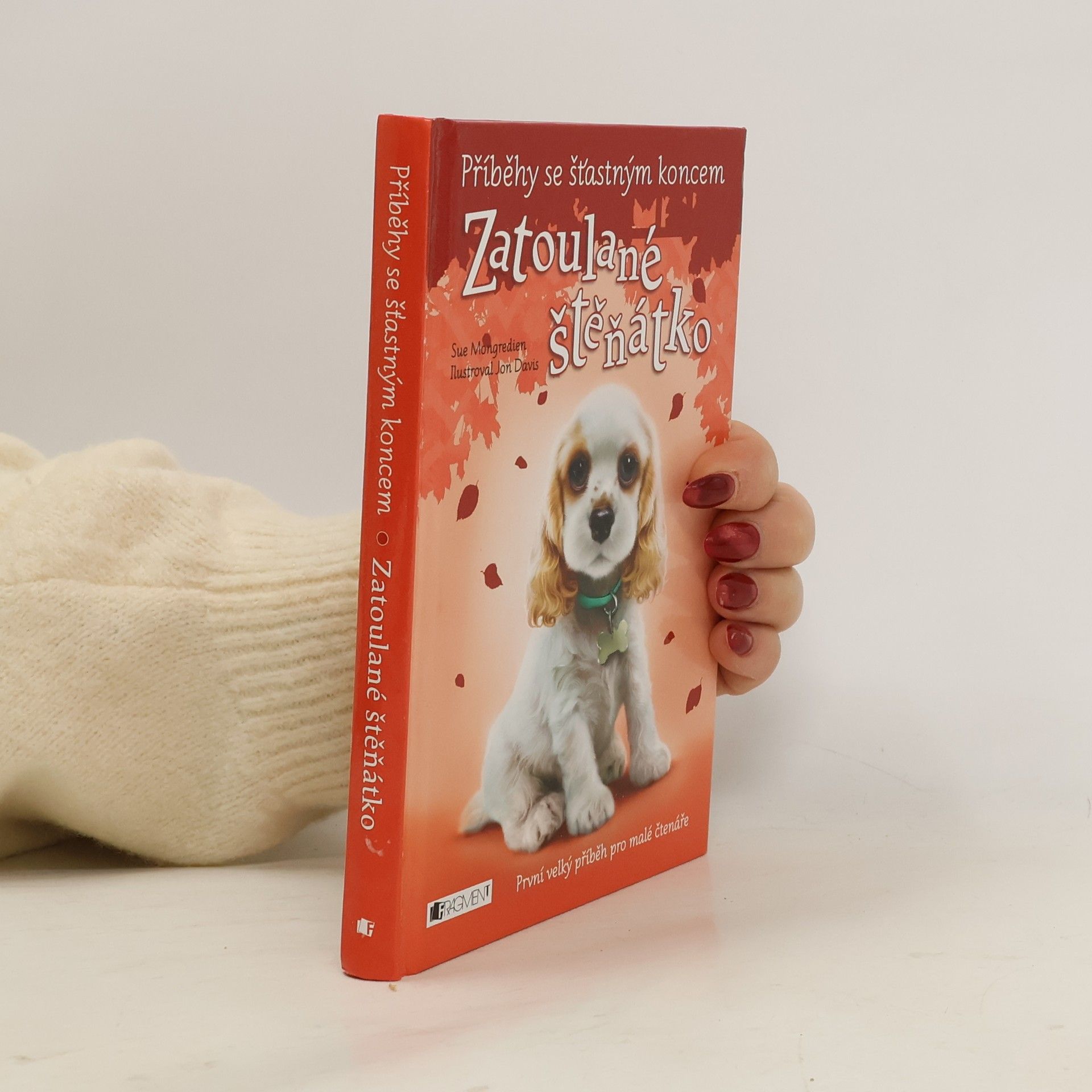 Jon Davis Zatoulané štěňátko