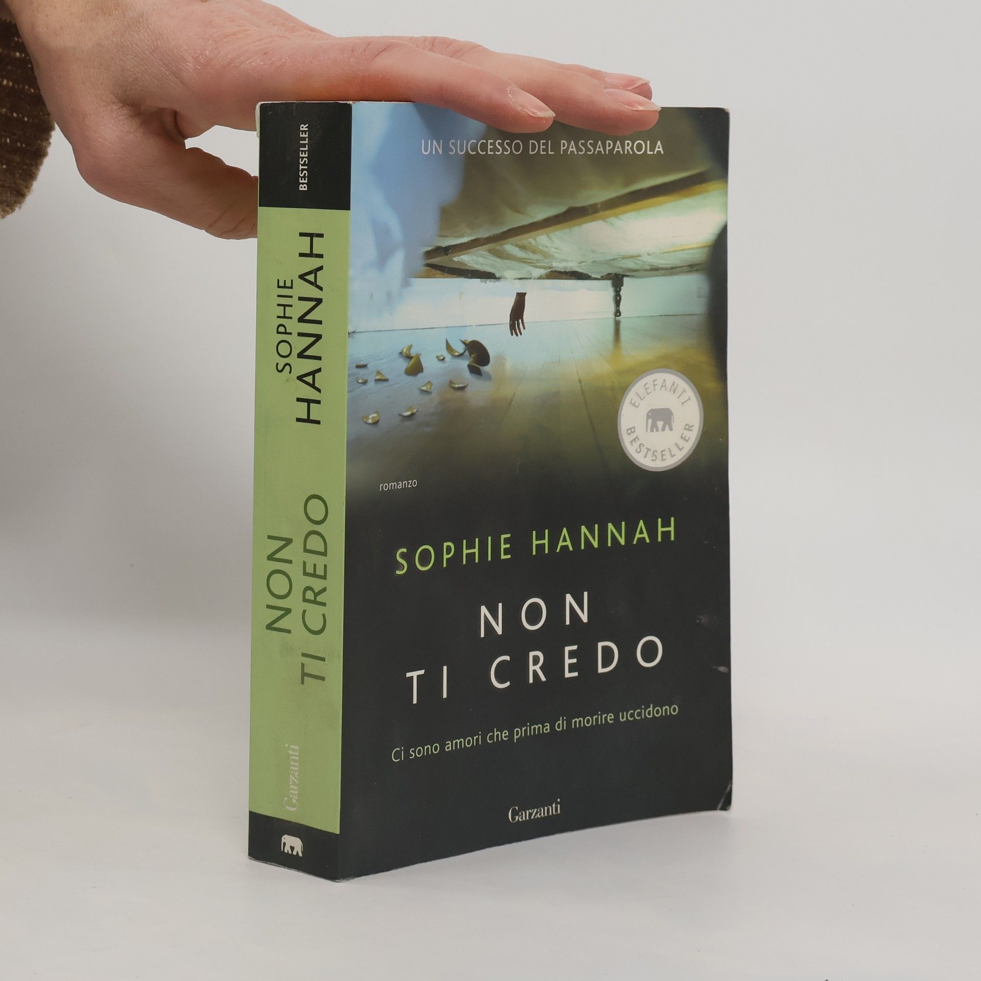 Sophie Hannah Non ti credo