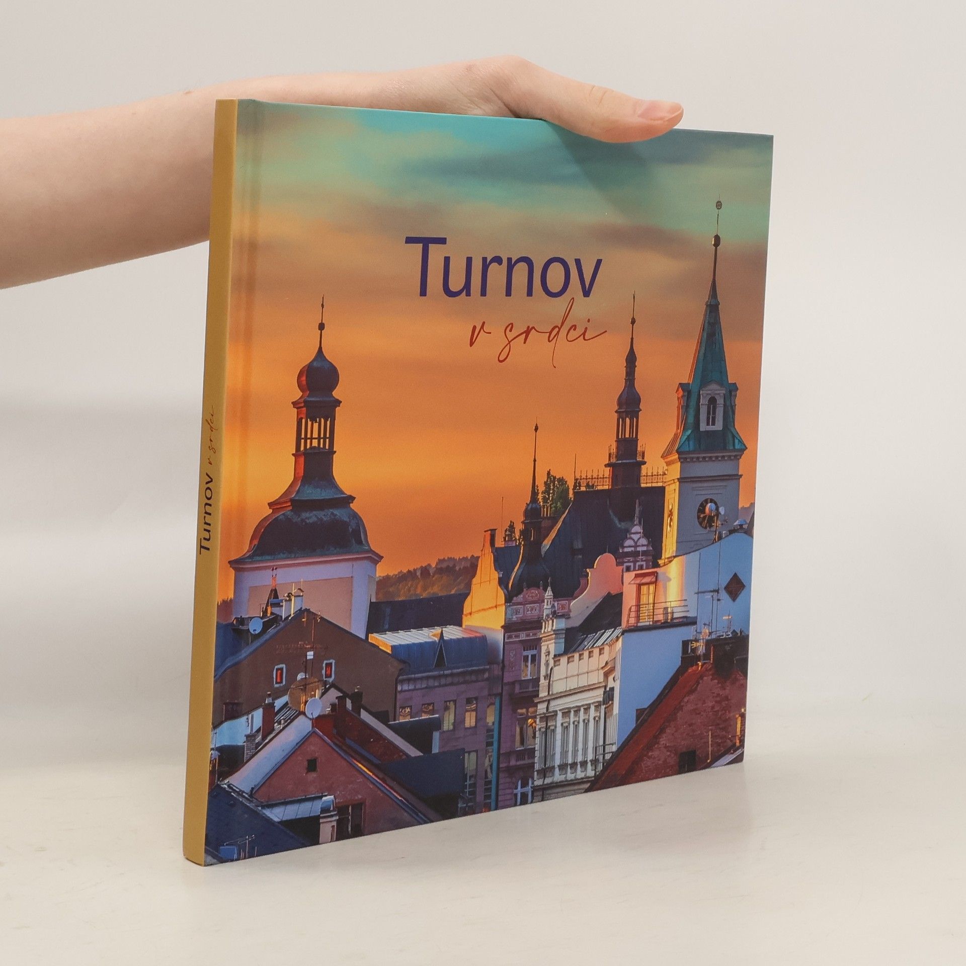 Autorenkollektiv Turnov v srdci. Současná podoba města pohledem zdejších fotografů