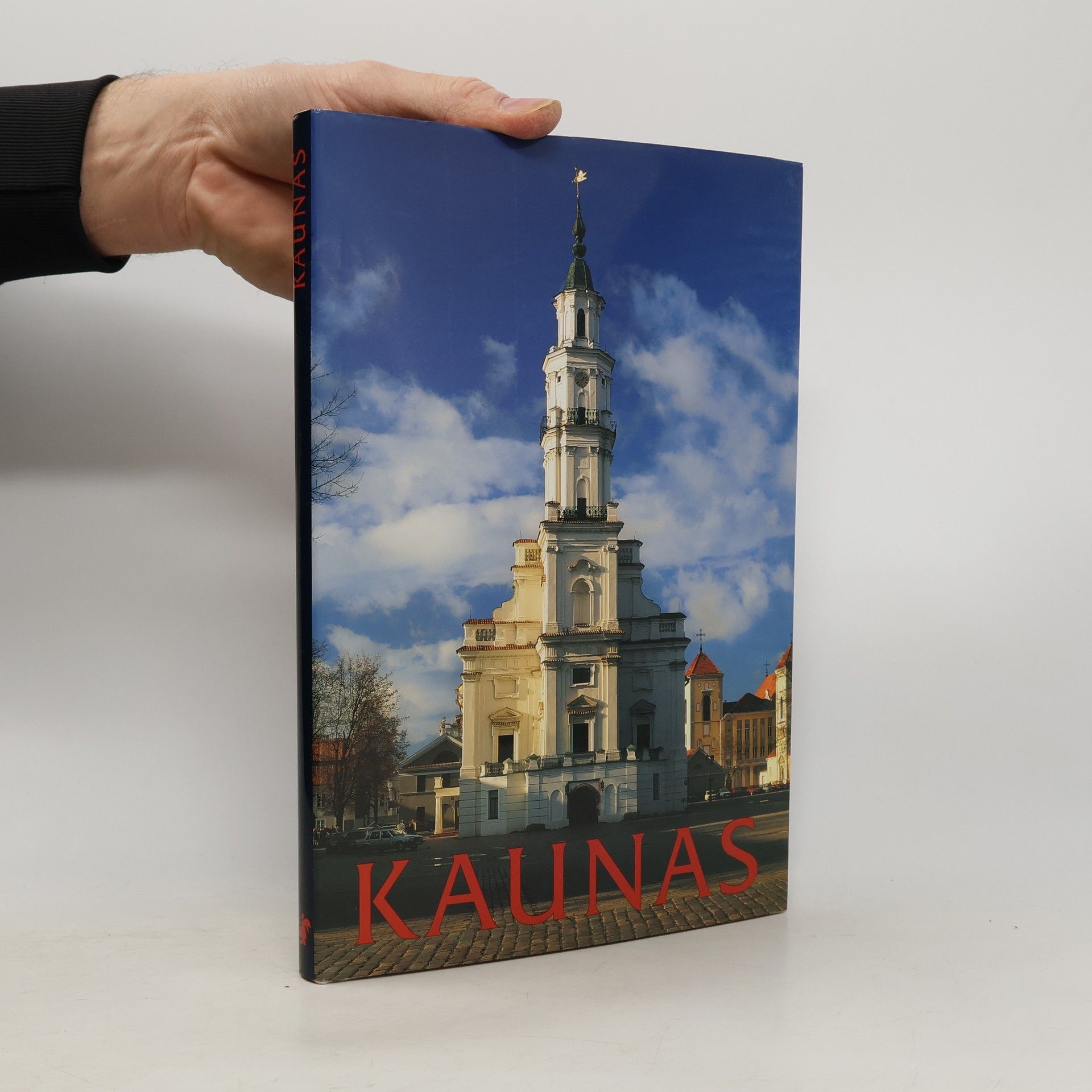 Audra Kairienė Kaunas