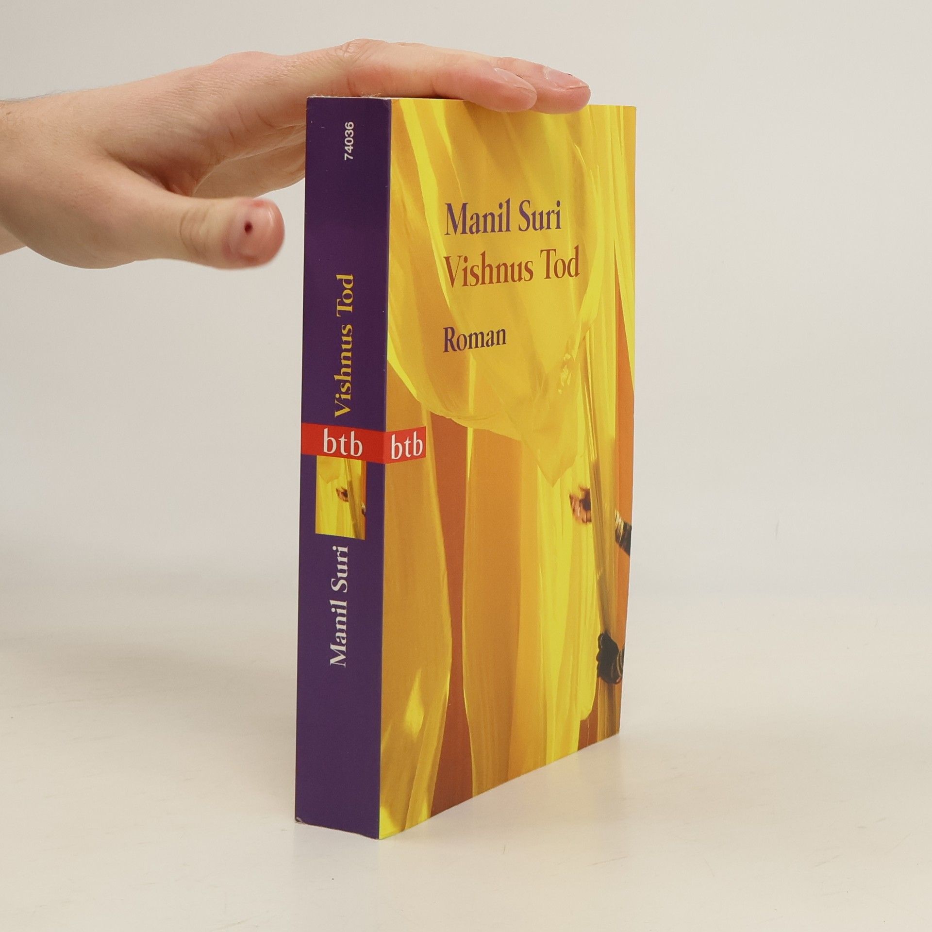 Manil Suri Vishnus Tod