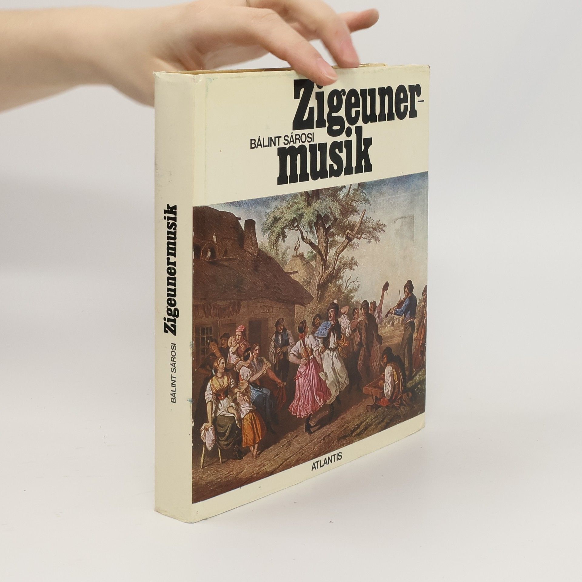 Zigeuner musik