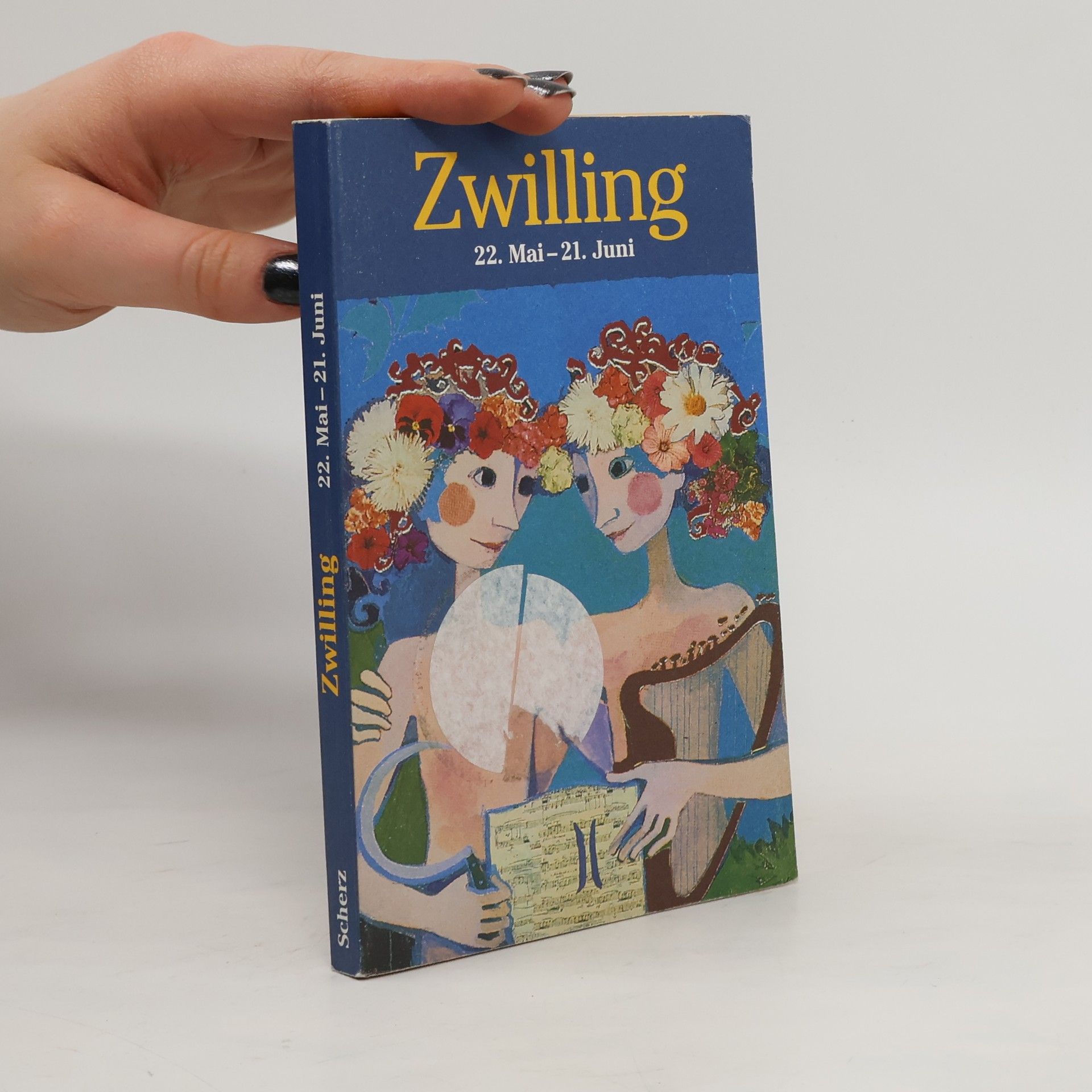 Kolektiv autorů Ich mag den feinsinnigen Zwilling