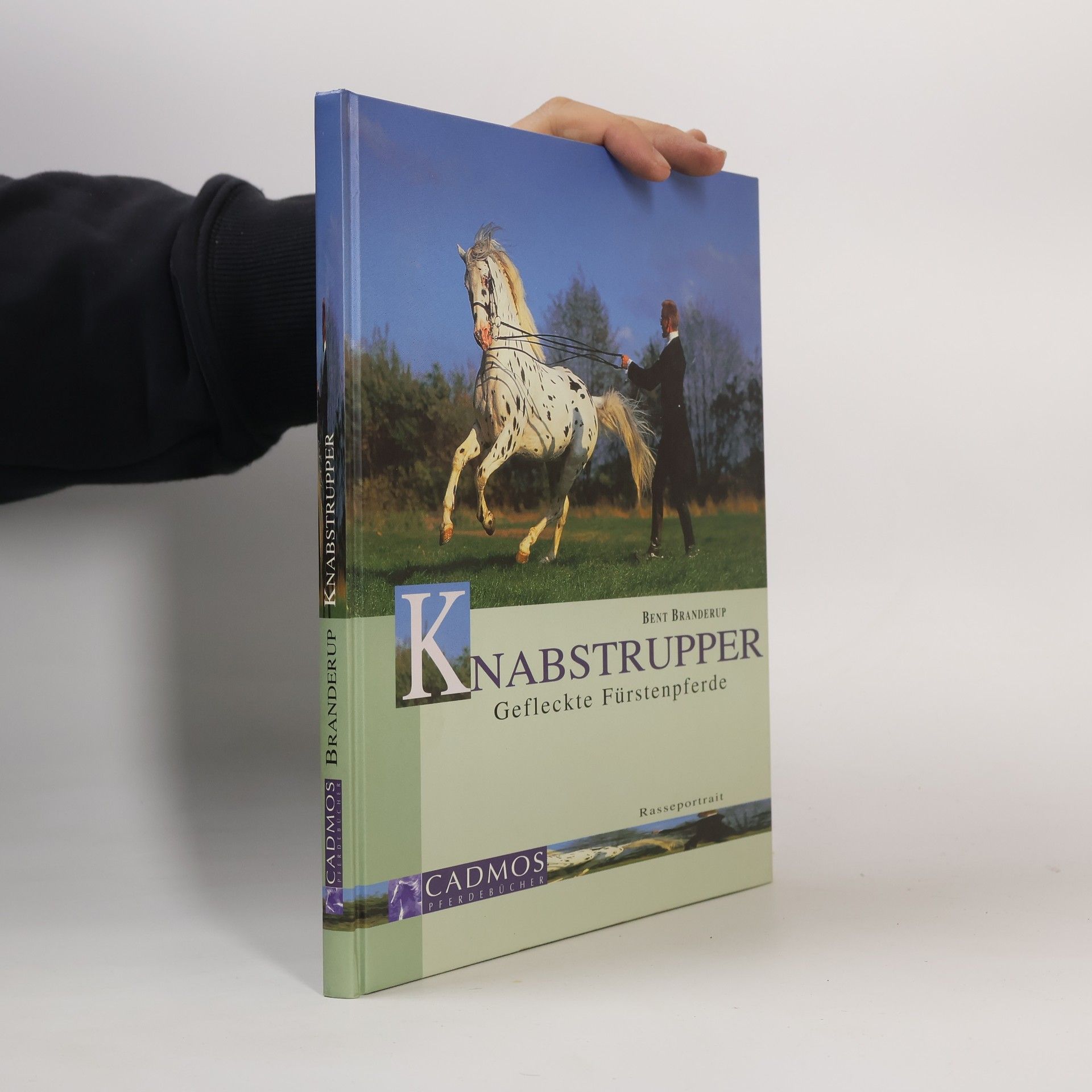 Bent Branderup Knabstrupper