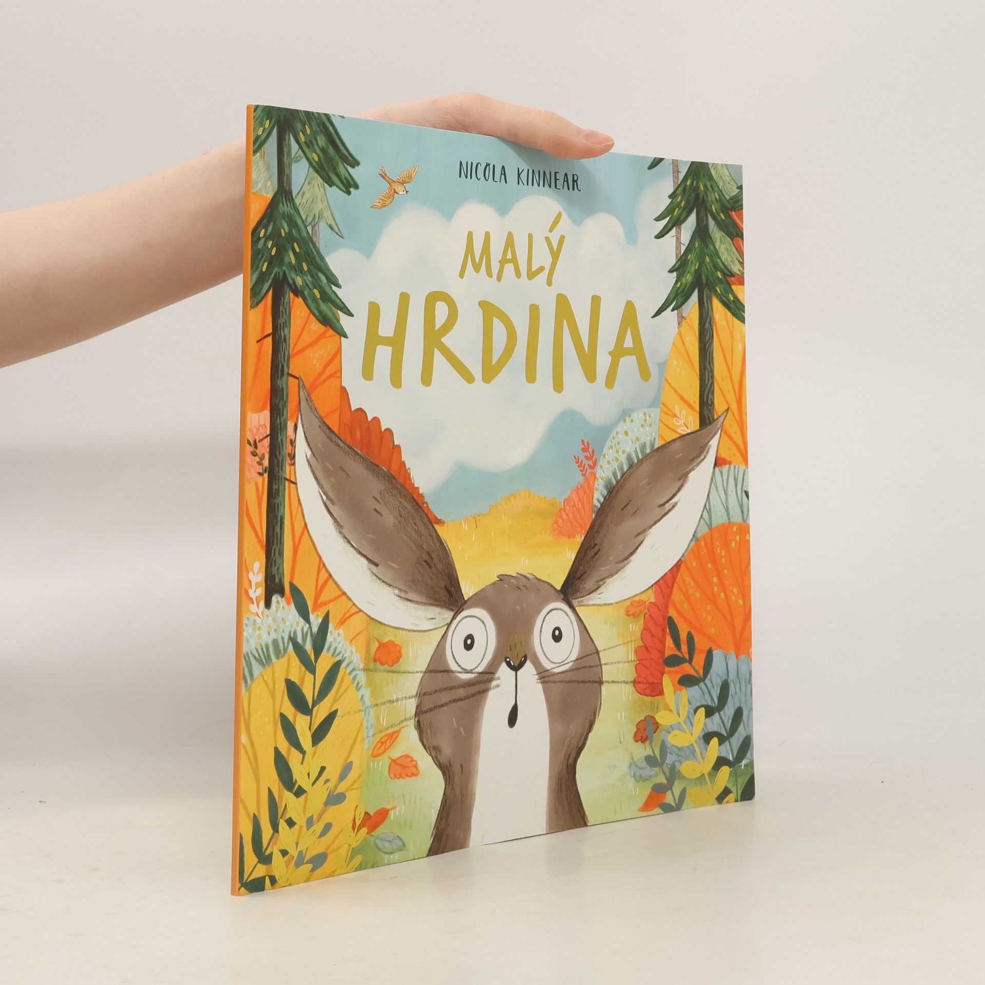 Nicola Kinnear Malý hrdina