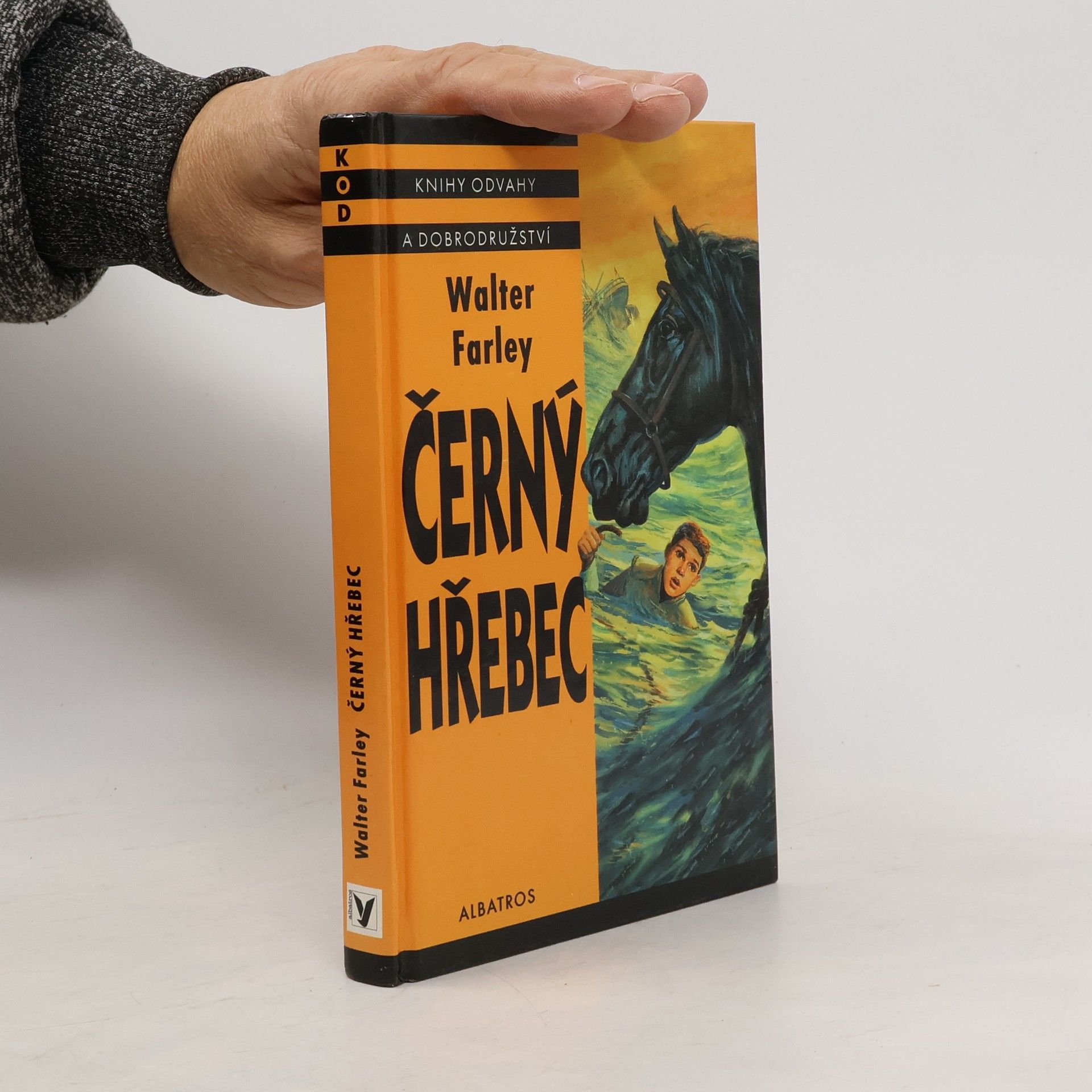 Walter Farley Černý hřebec