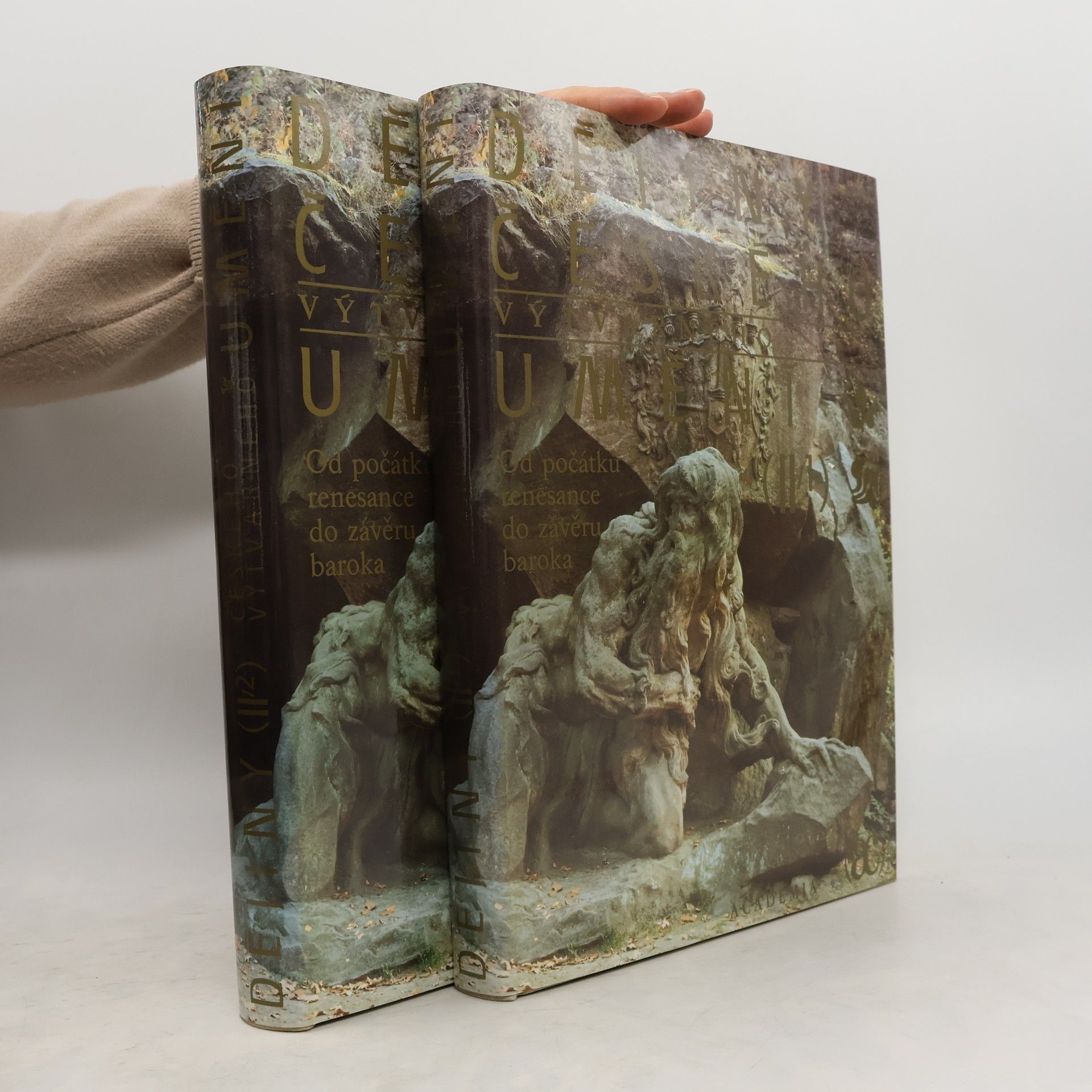 Dějiny českého výtvarného umění II. Od počátku renesance do závěru baroka