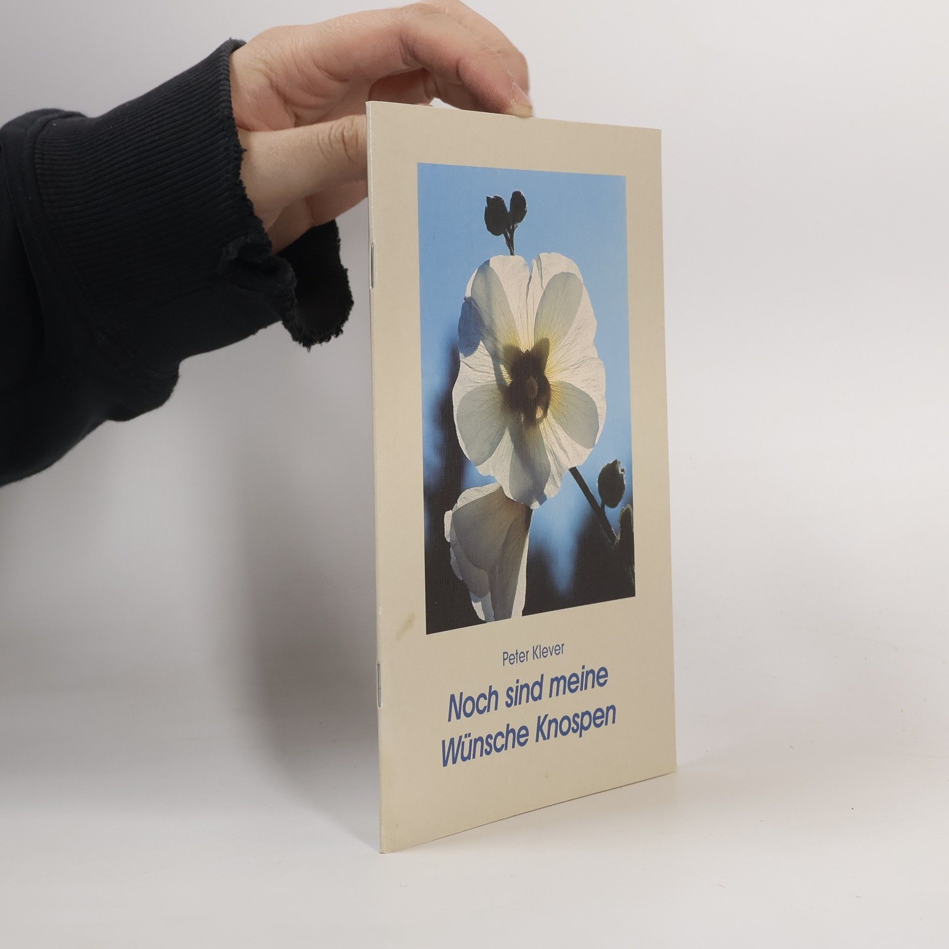 Noch sind meine Wünsche Knospen