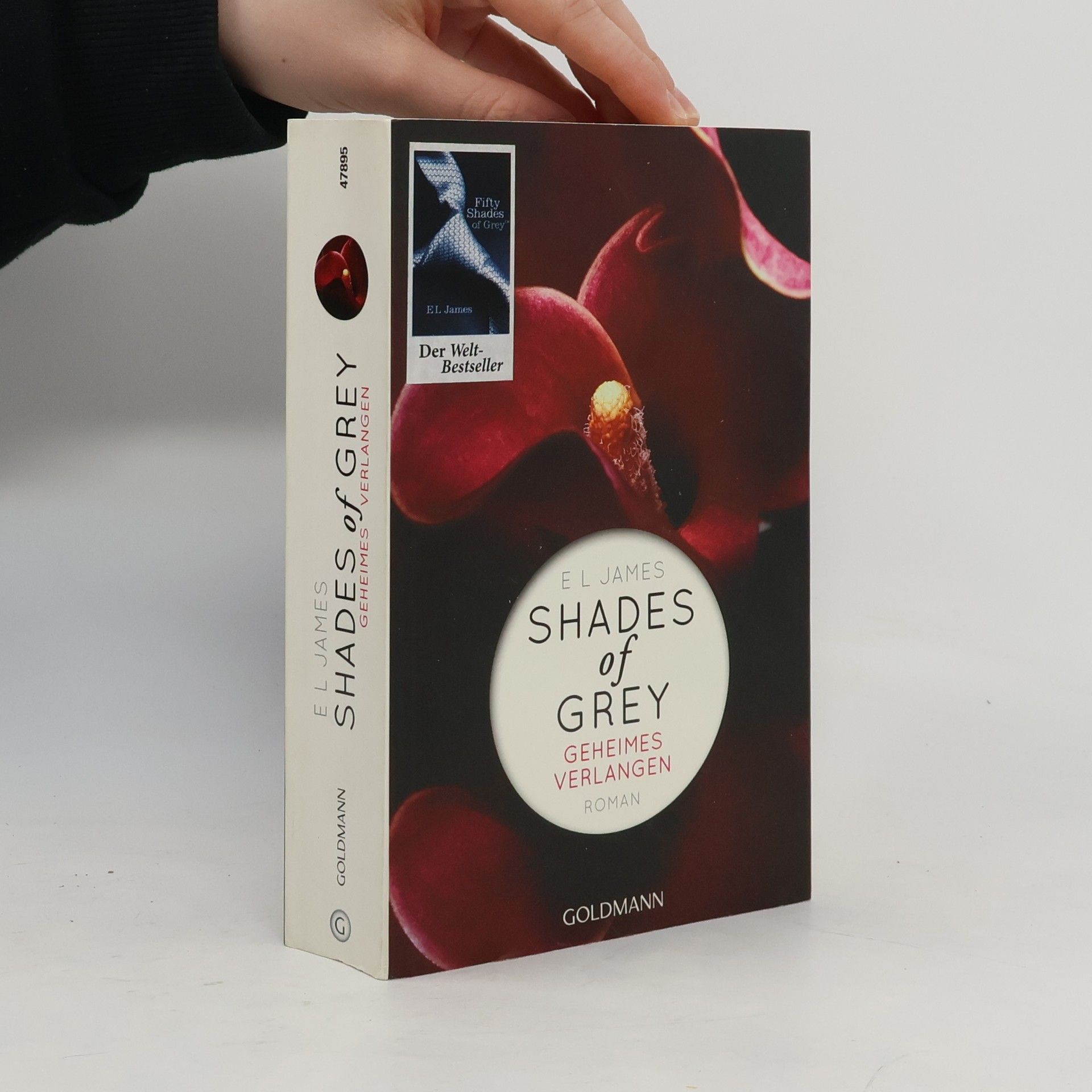 Shades of Grey. Geheimes Verlangen