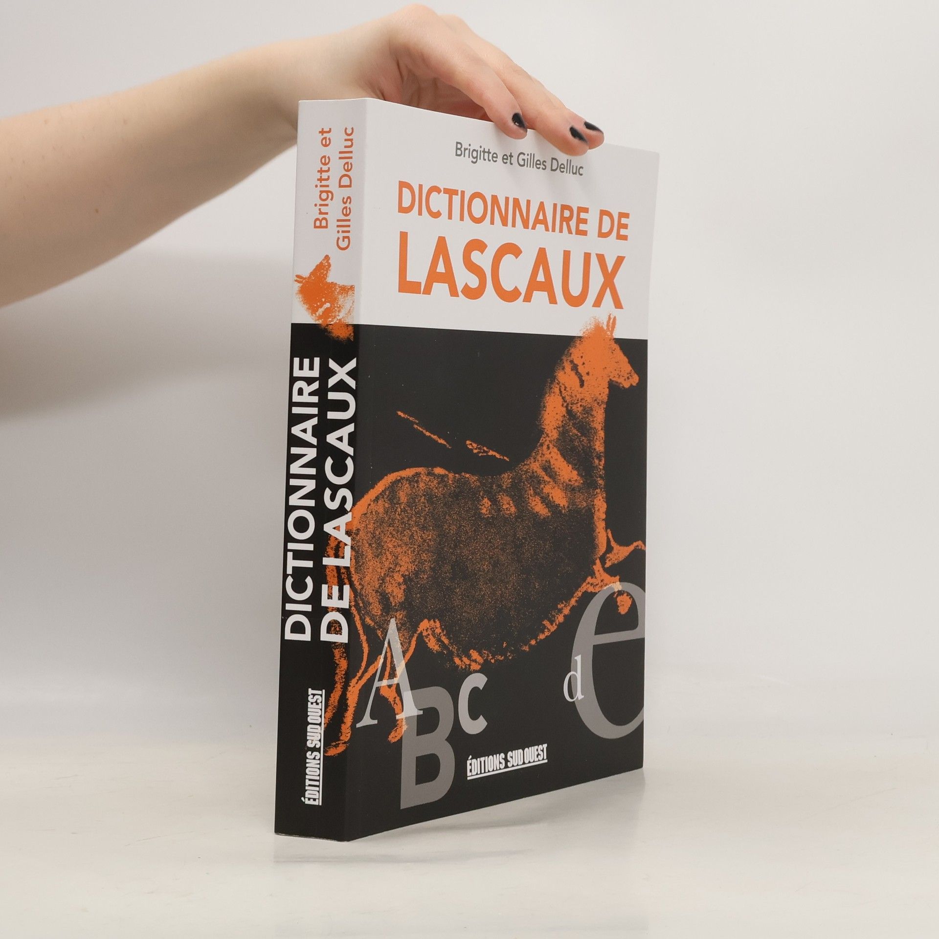 Brigitte Delluc Dictionnaire de Lascaux