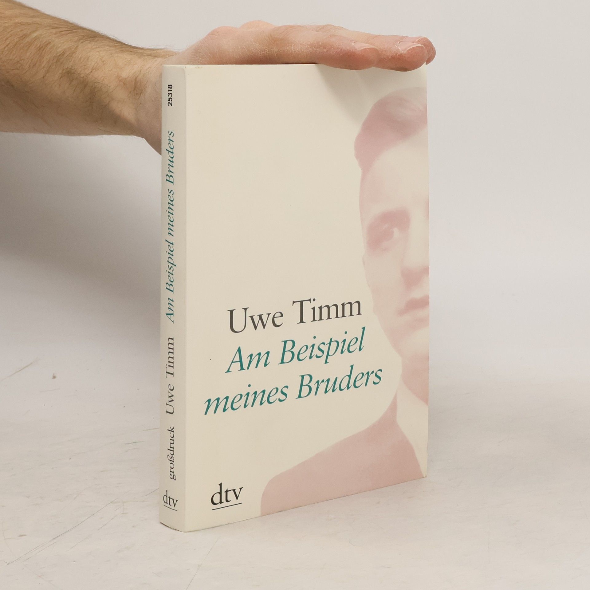 Uve Timm Am Beispiel meines Bruders - Großdruck