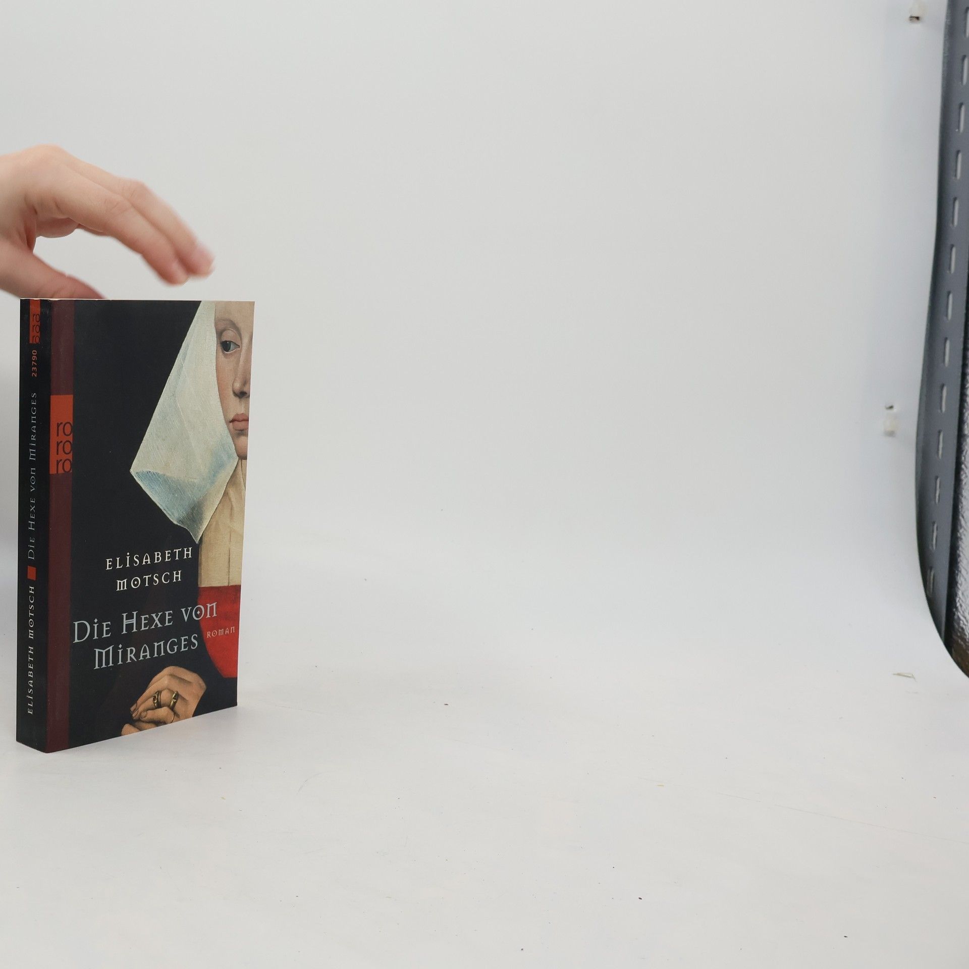 Alice Munro Die Liebe einer Frau