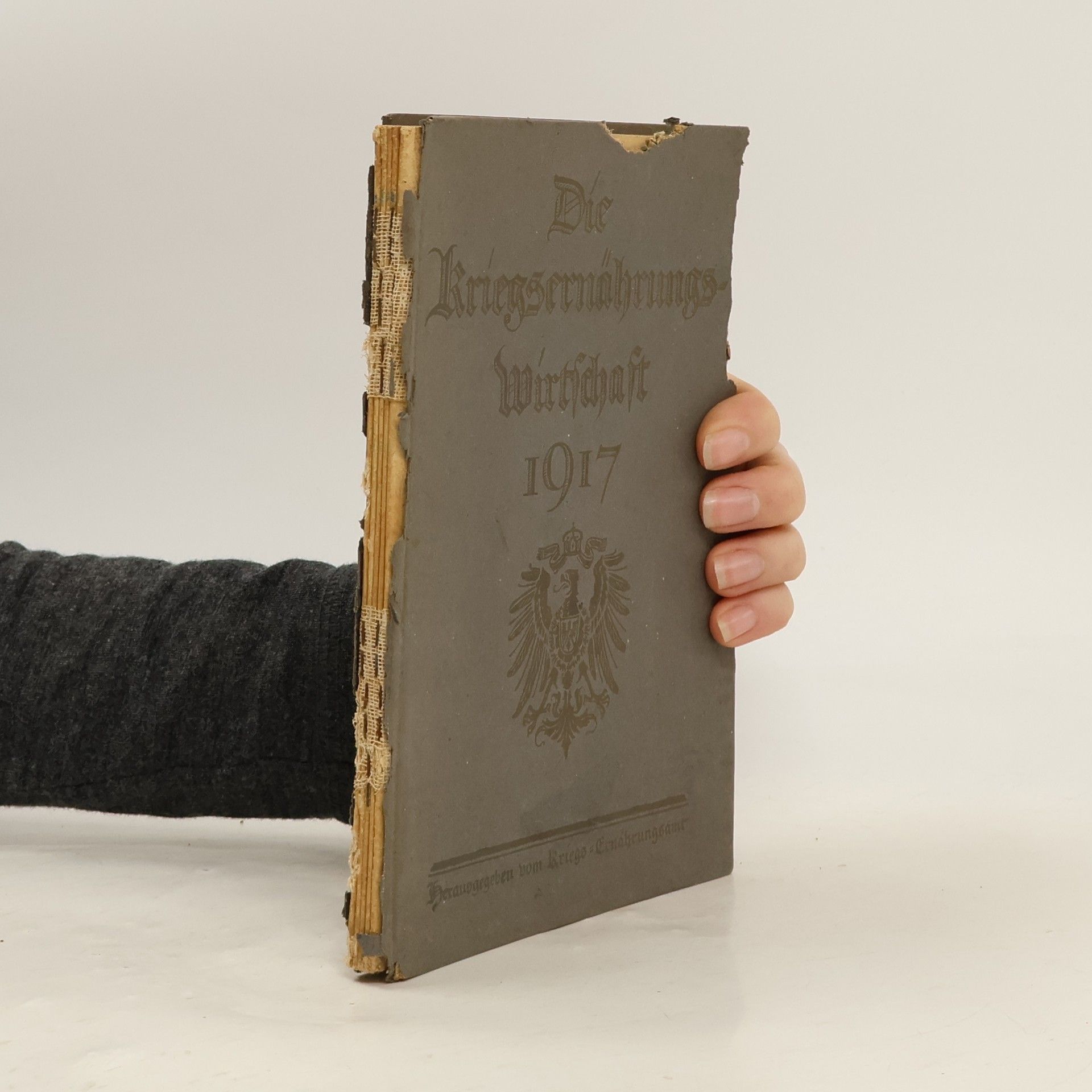 Auteurscollectief Die Kriegsernährungs-Wirtschaft 1917