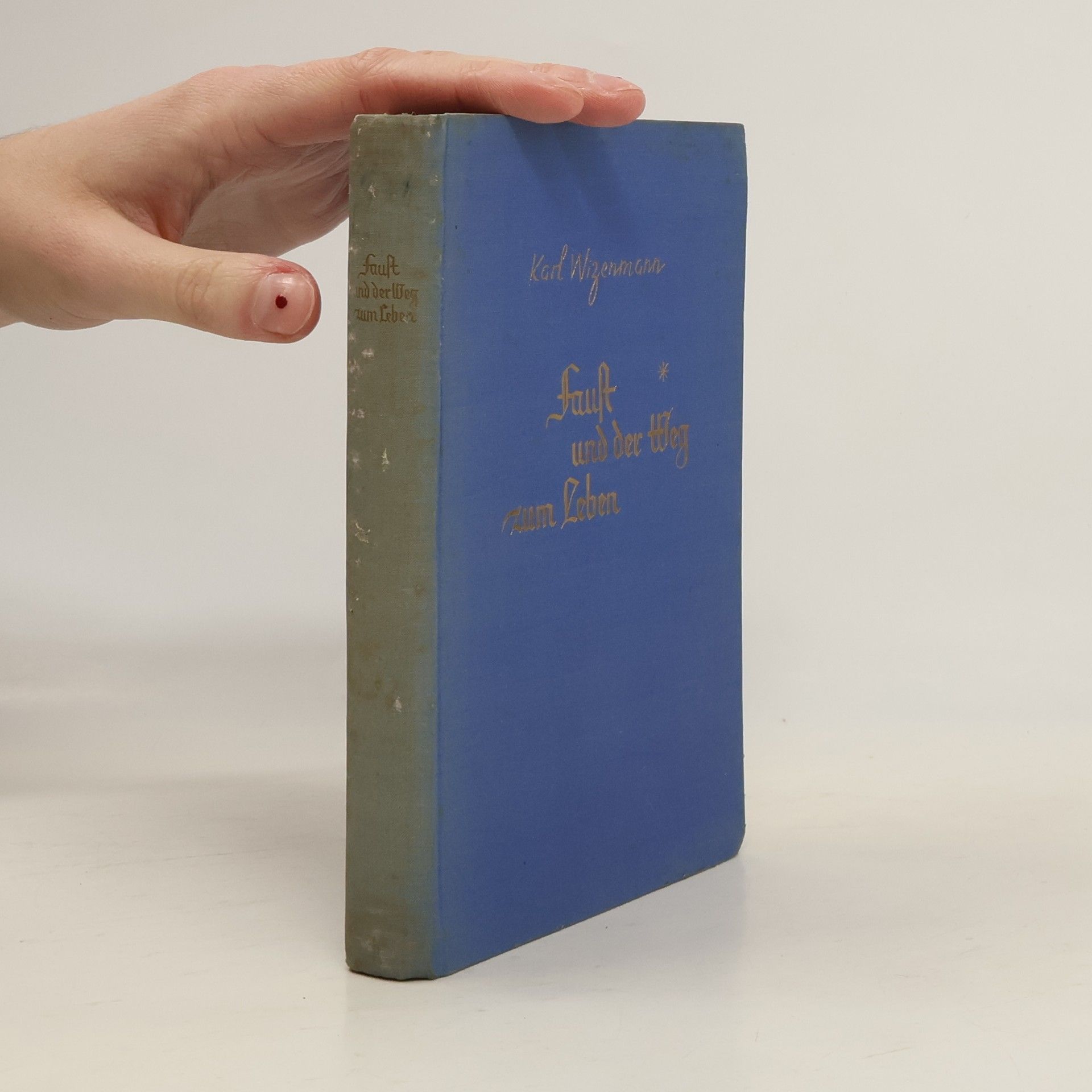 Karl Wizenmann Faust und der Weg zum Leben