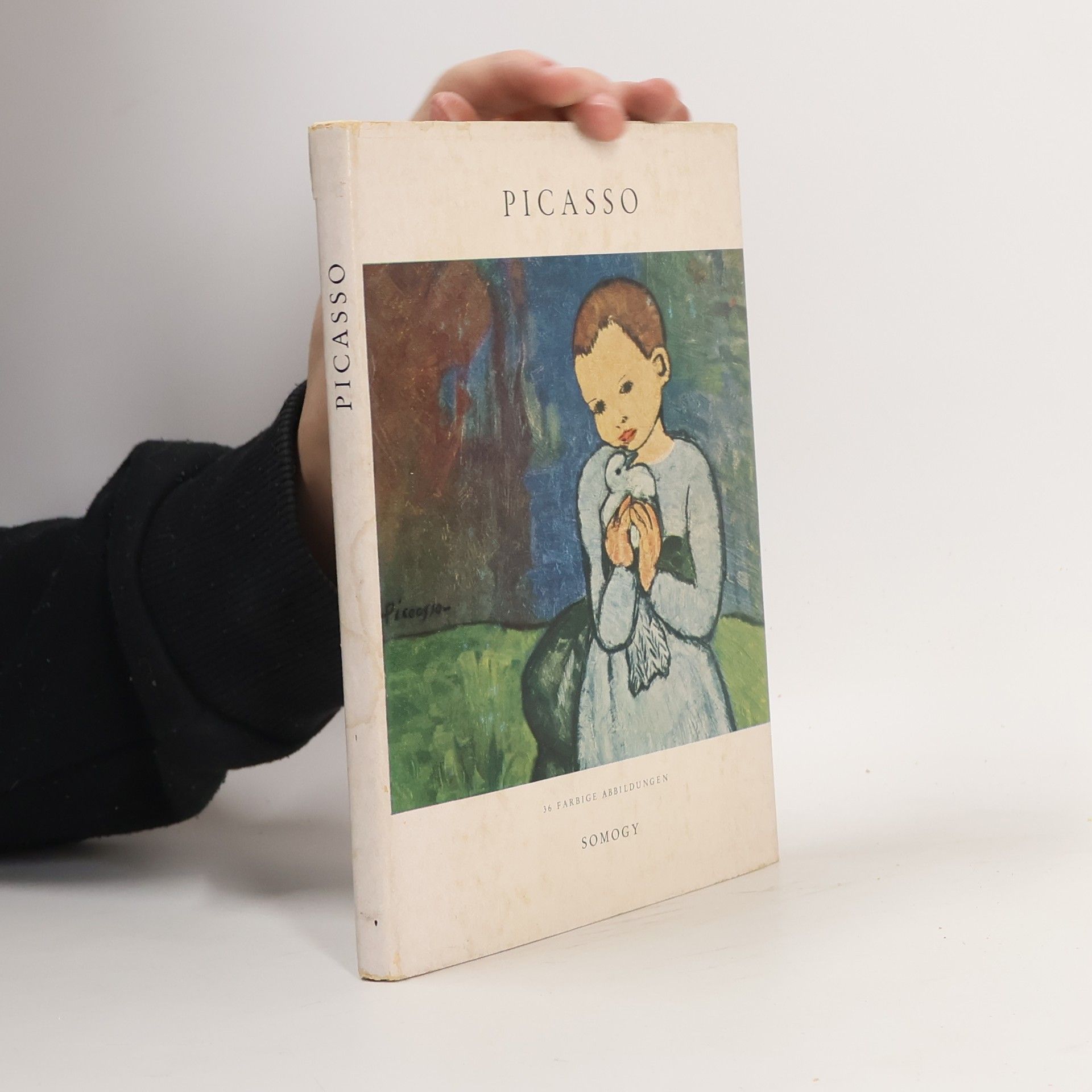 Autorenkollektiv Picasso