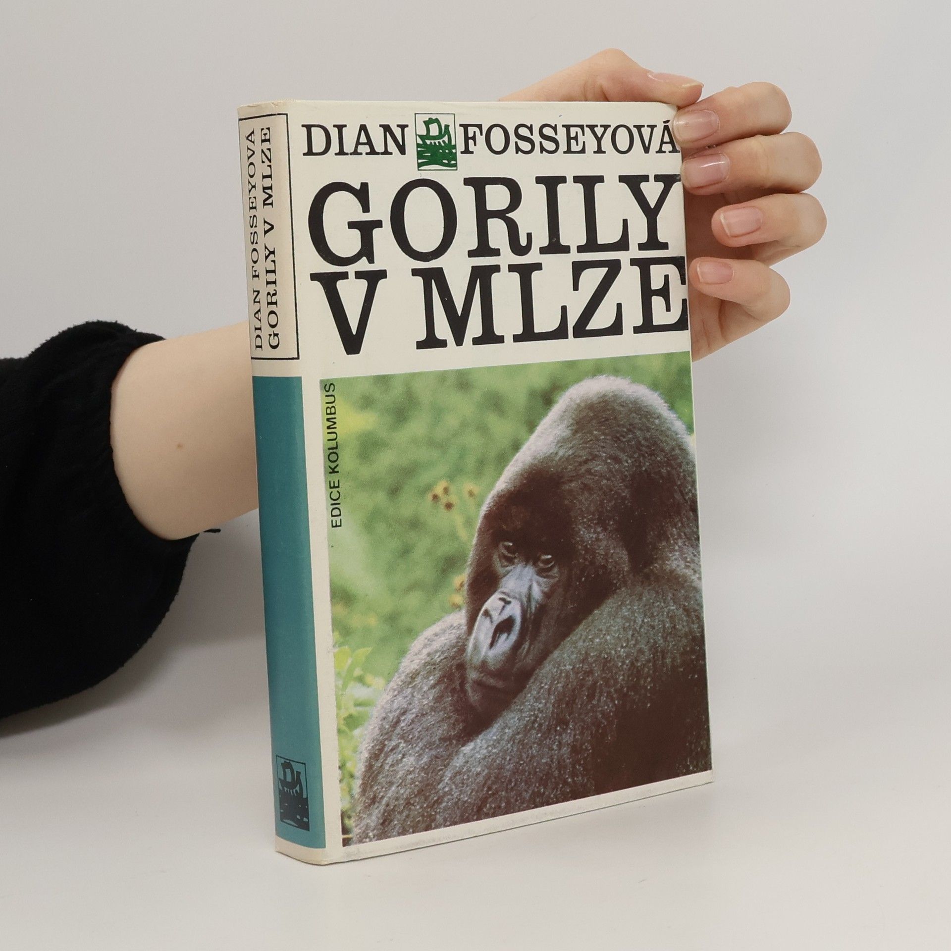 Dian Fossey Gorily v mlze