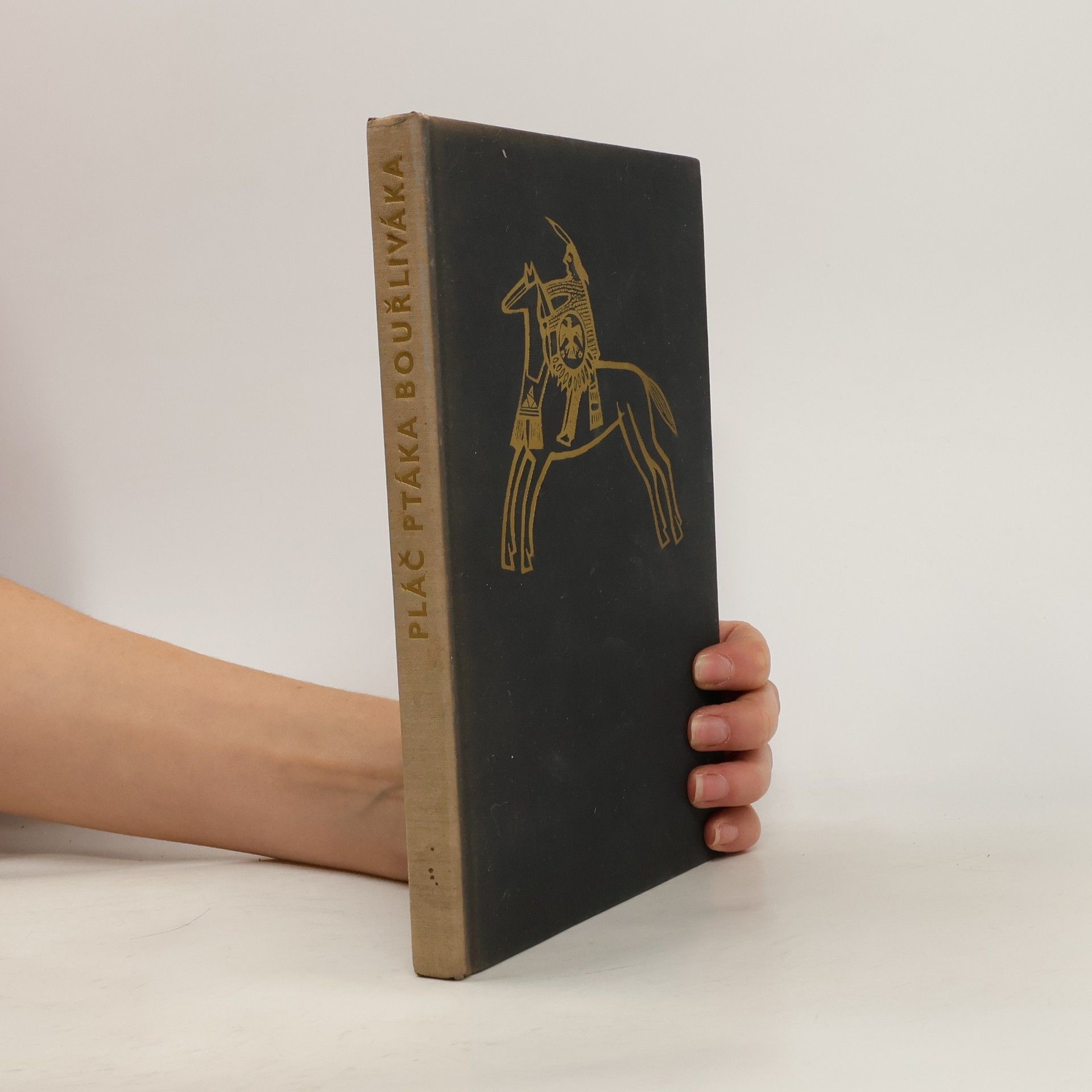 Charles Hamilton Pláč ptáka Bouřliváka