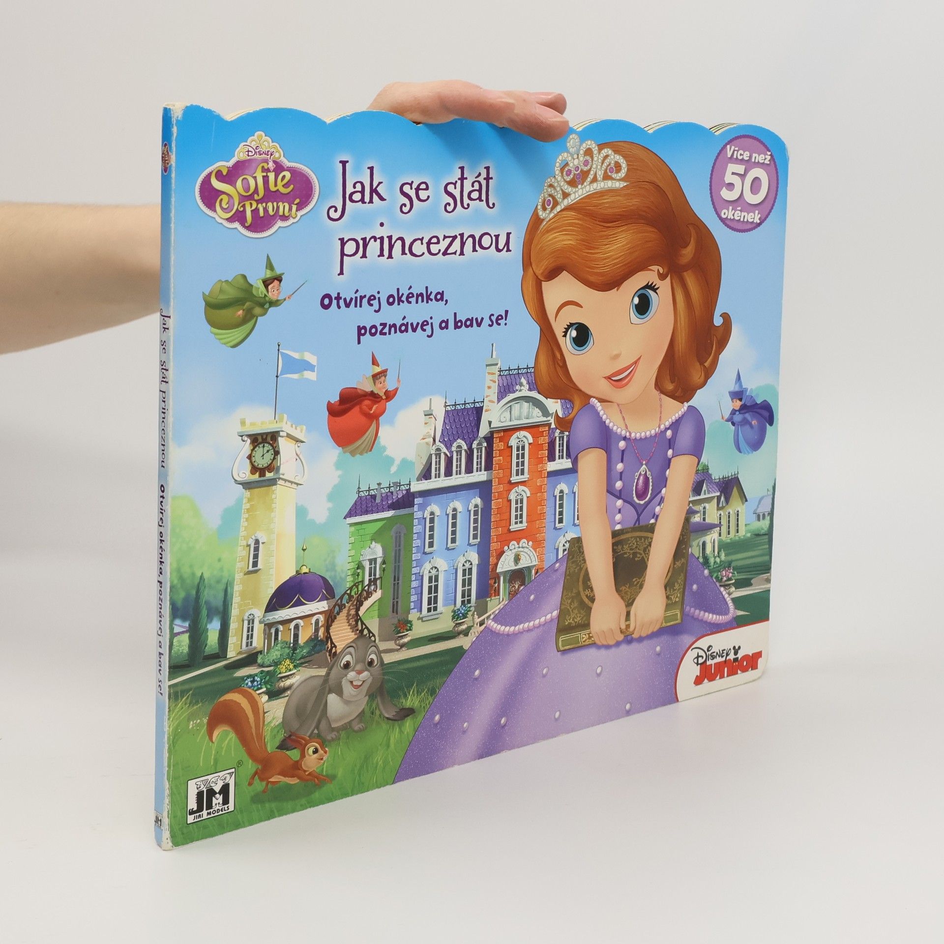 Collectif d'auteurs Jak se stát princeznou