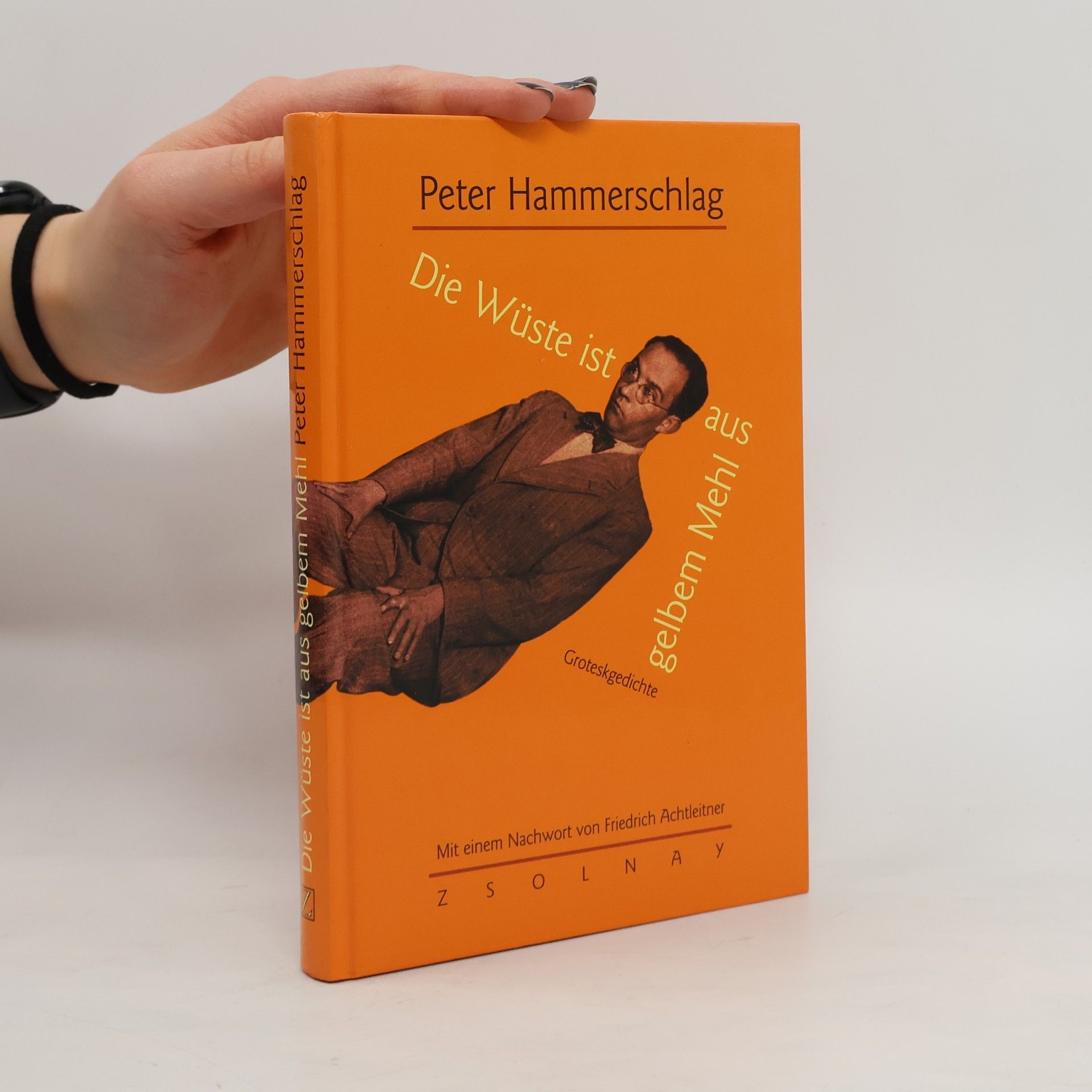 Peter Hammerschlag Die Wüste ist aus gelbem Mehl