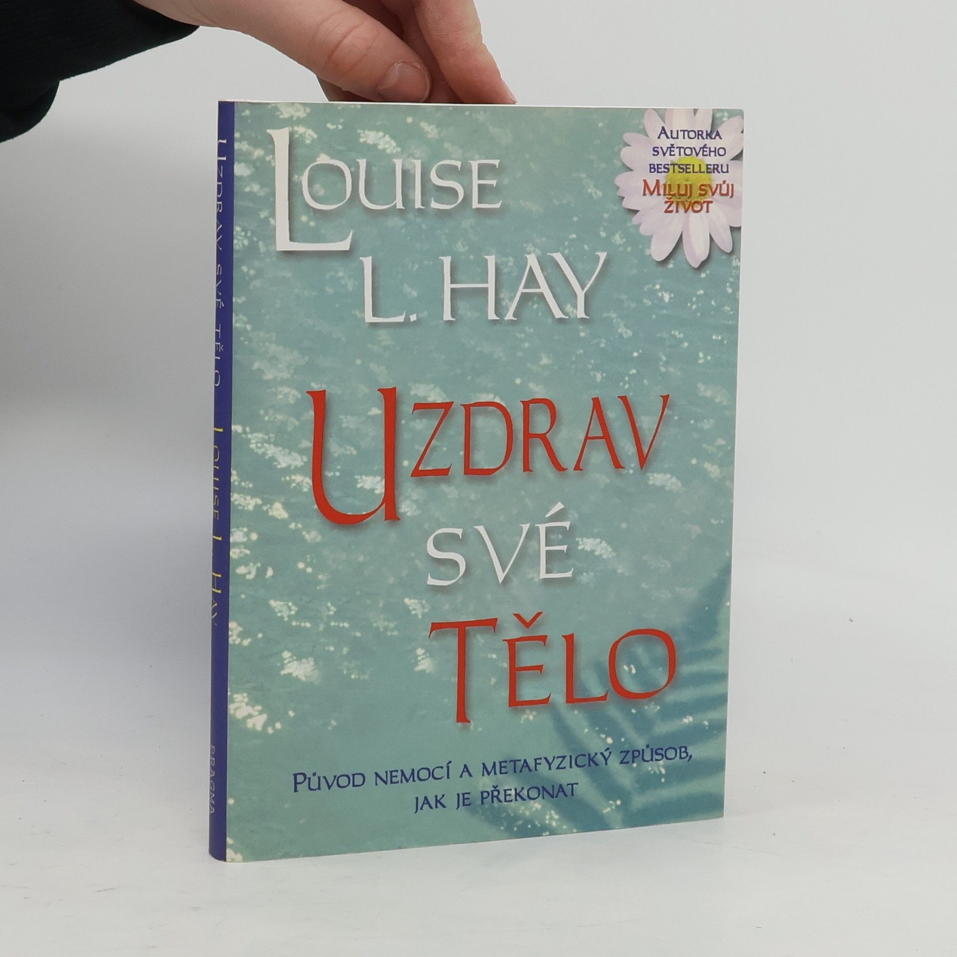 Louise Lynn Hay Uzdrav své tělo: Původ nemocí a metafyzický způsob, jak je překonat