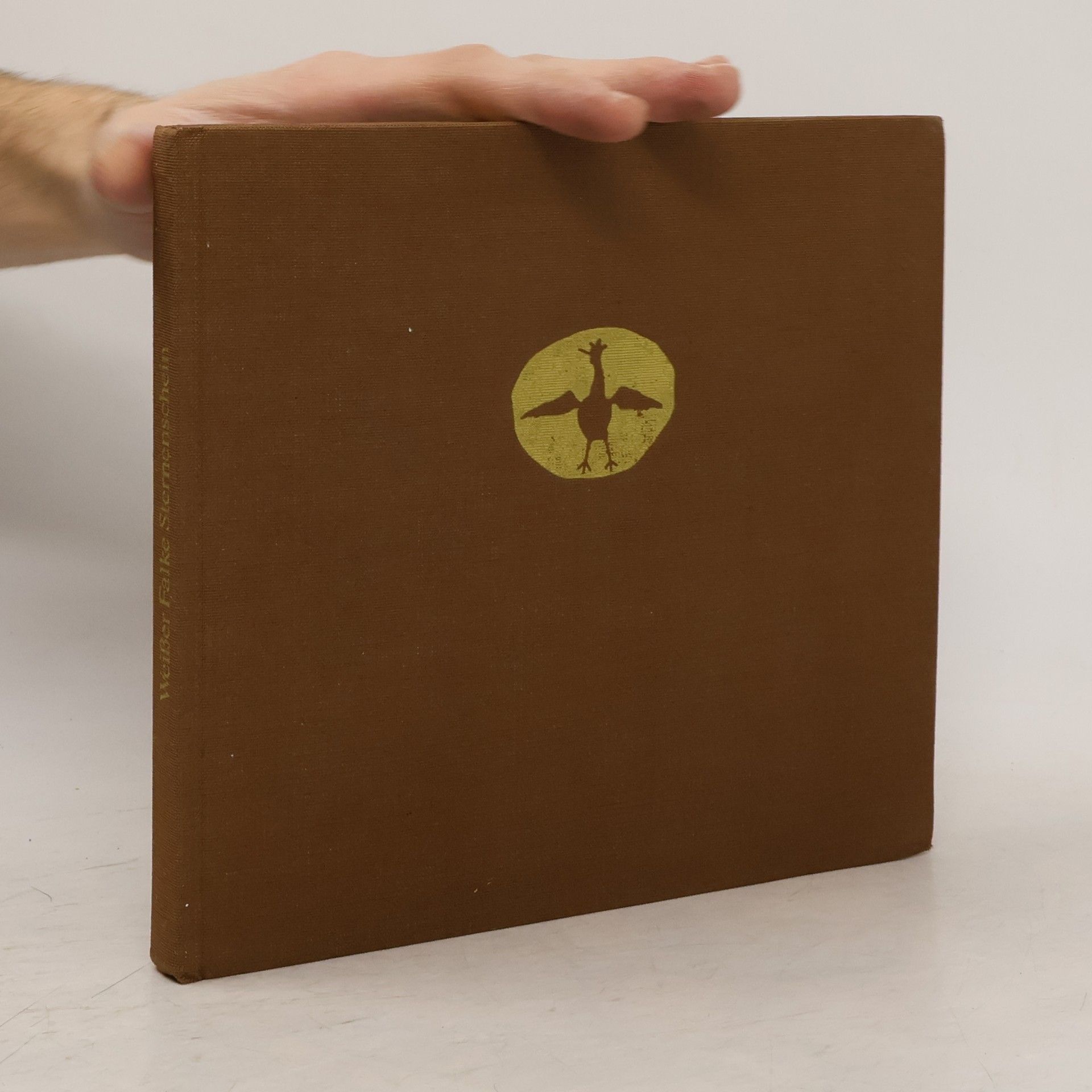 Weißer Falke Sternenschein