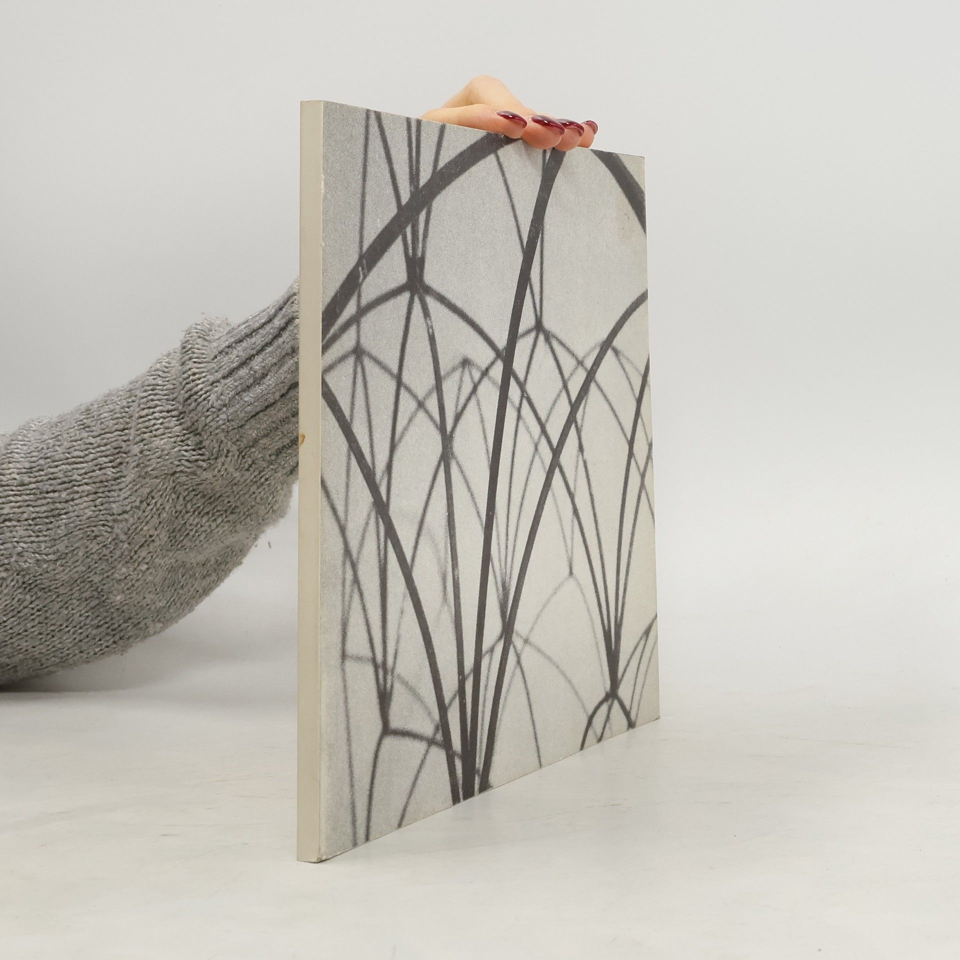 Autores varios Salzburger Kunstverein