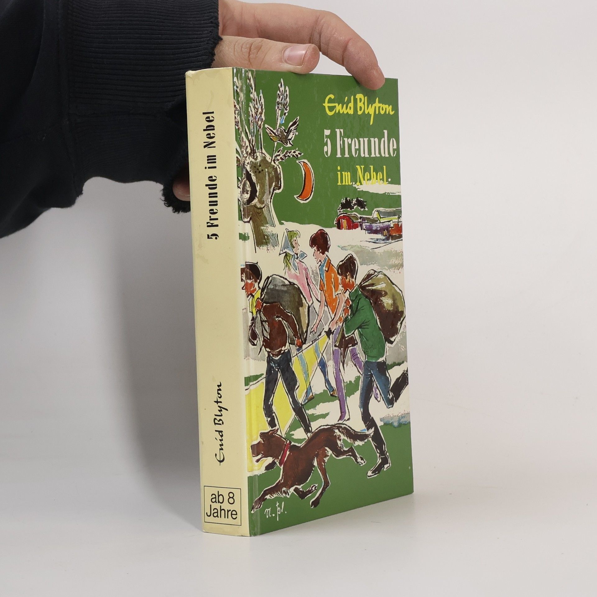 Enid Blyton 5 Freunde im Nebel