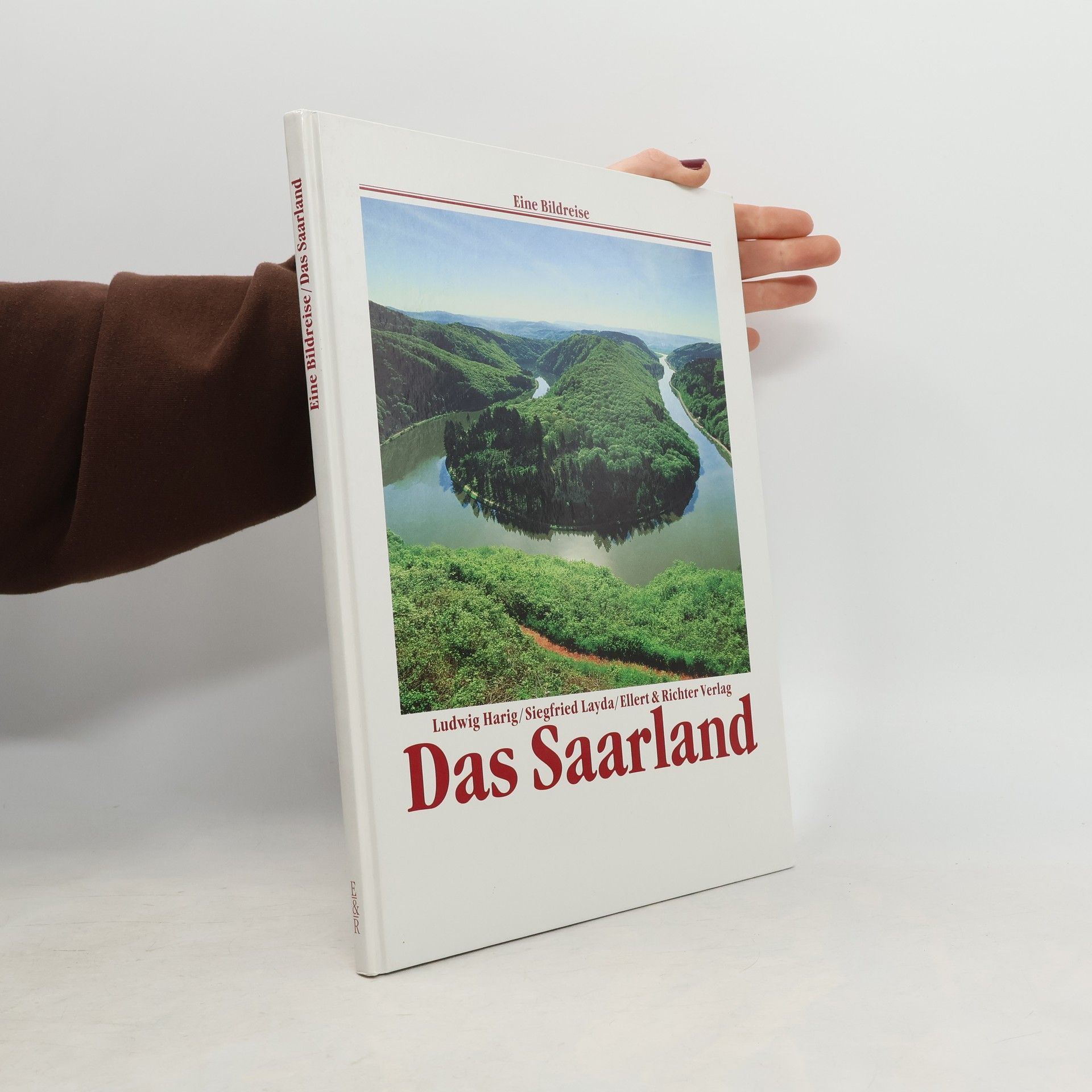 Ludwig Harig Das Saarland