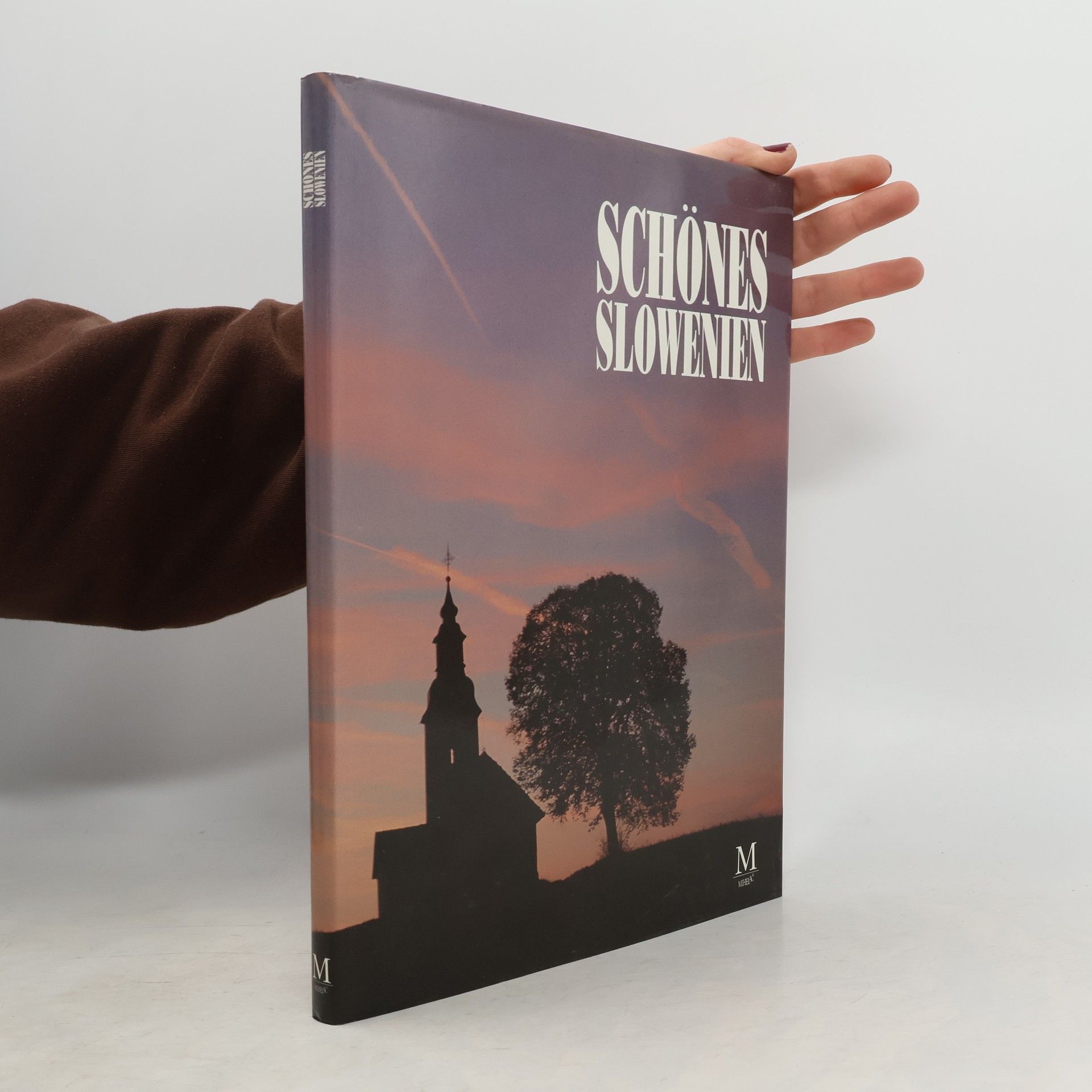 Collectif d'auteurs Schönes Slowenien