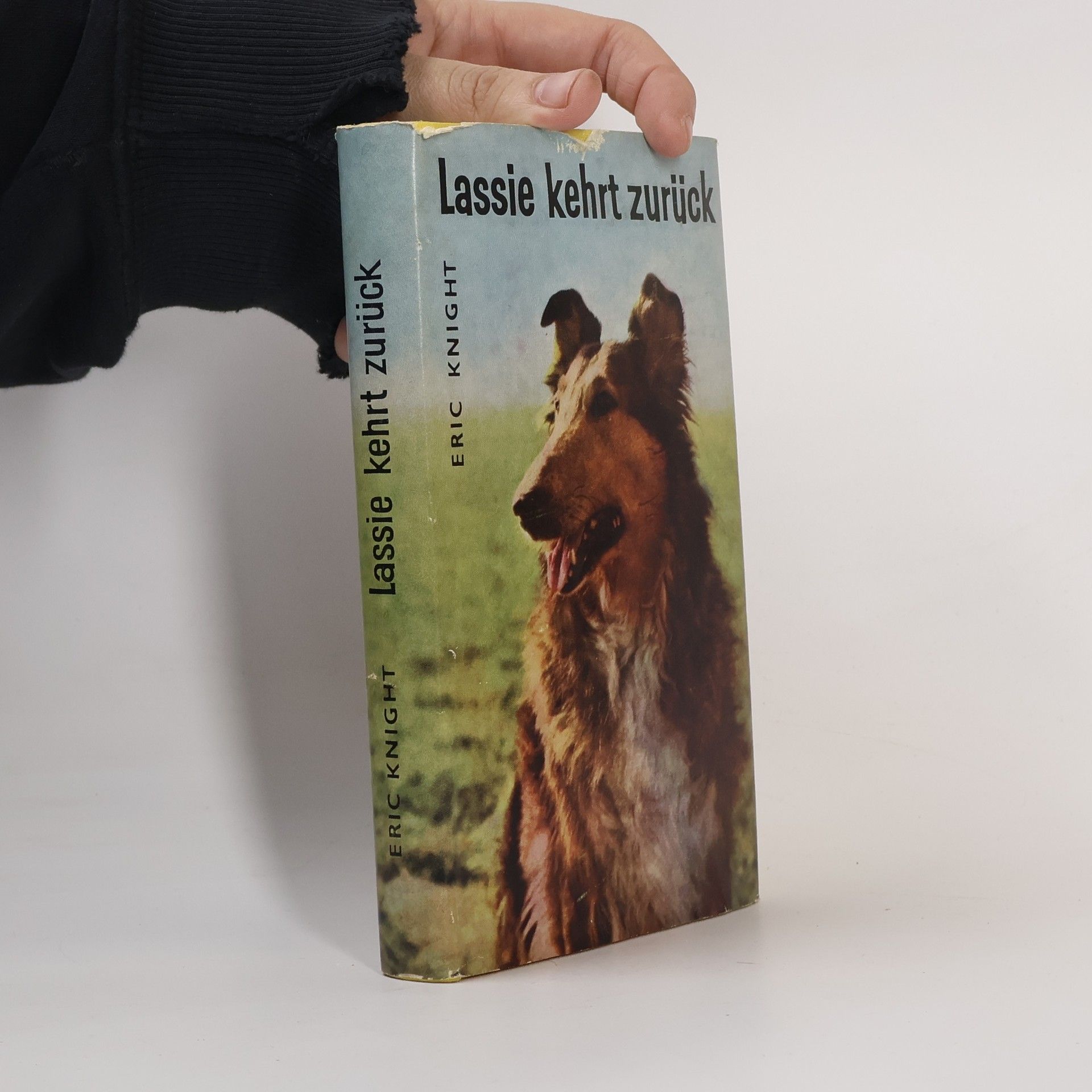 Eric Knight Lassie kehrt züruck