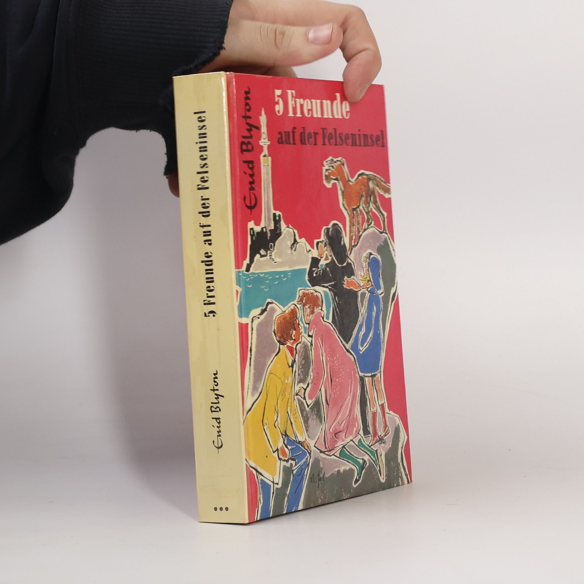 Enid Blyton 5 Freunde auf der Felseninsel