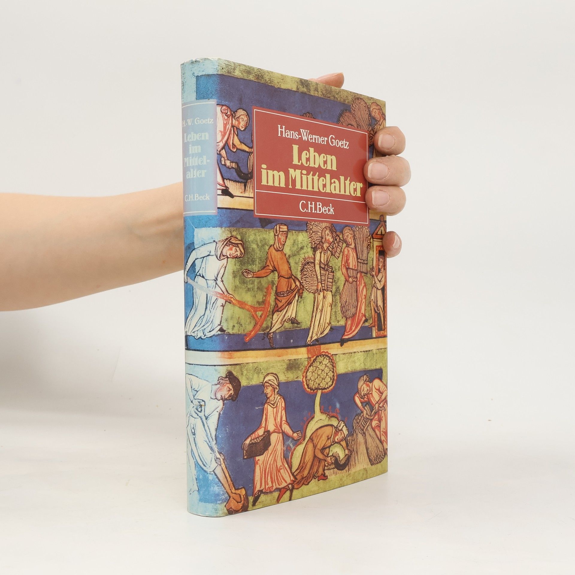 Hans Werner Goetz Leben im Mittelalter