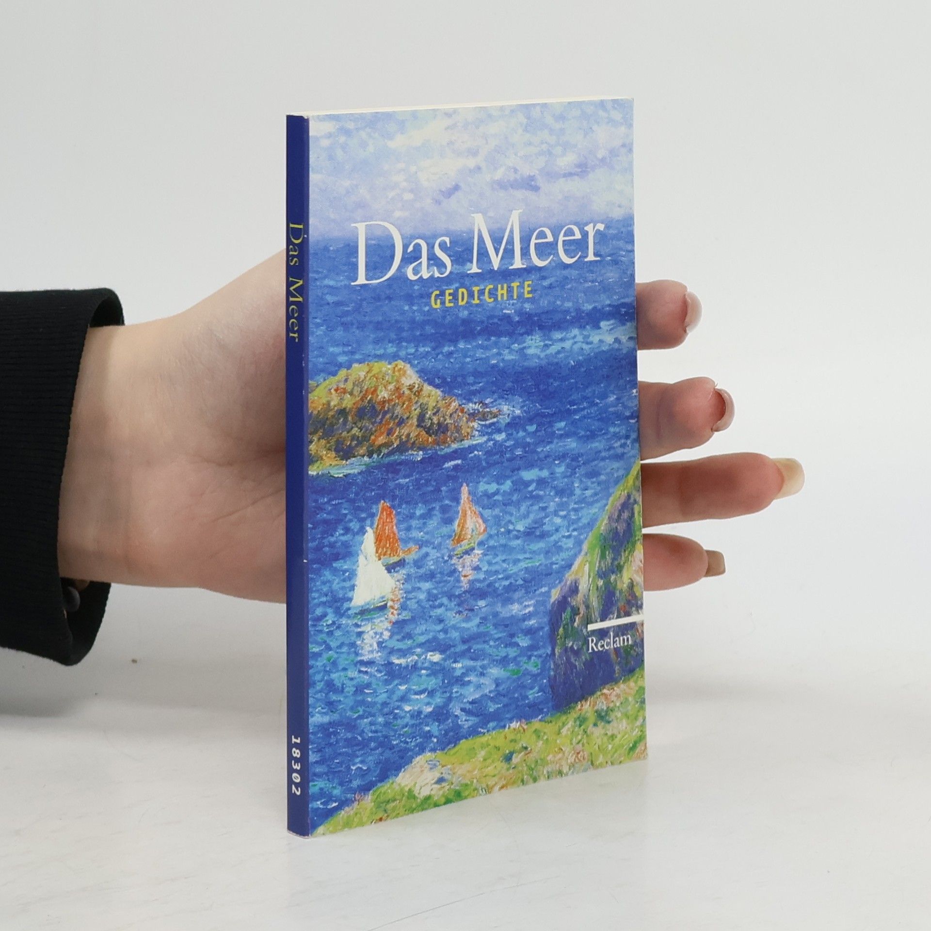 Andrea Wüstner Das Meer