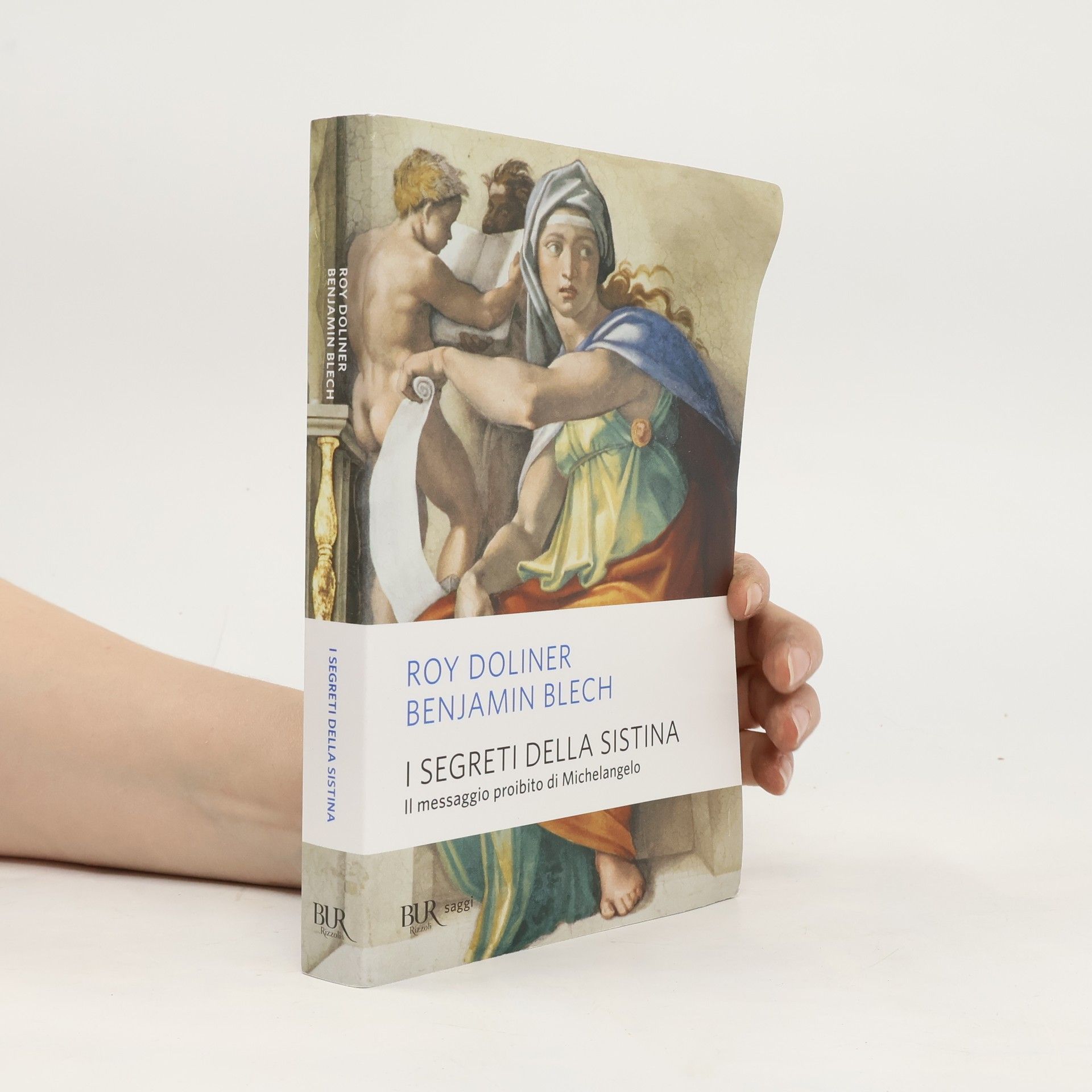Roy Doliner I segreti della Sistina. Il messaggio proibito di Michelangelo