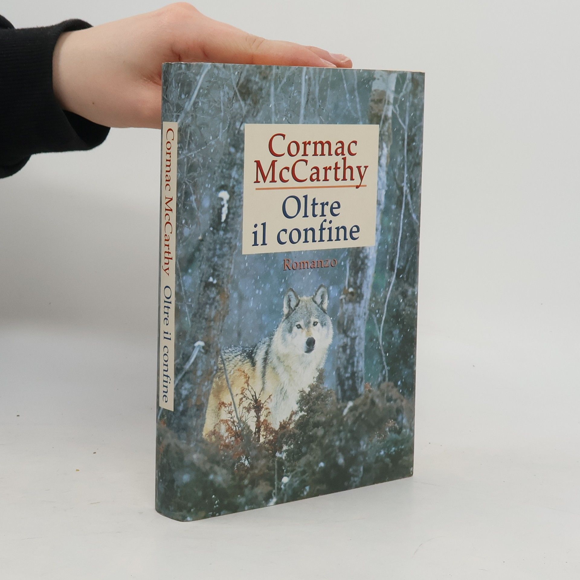 Cormac McCarthy Oltre il confine