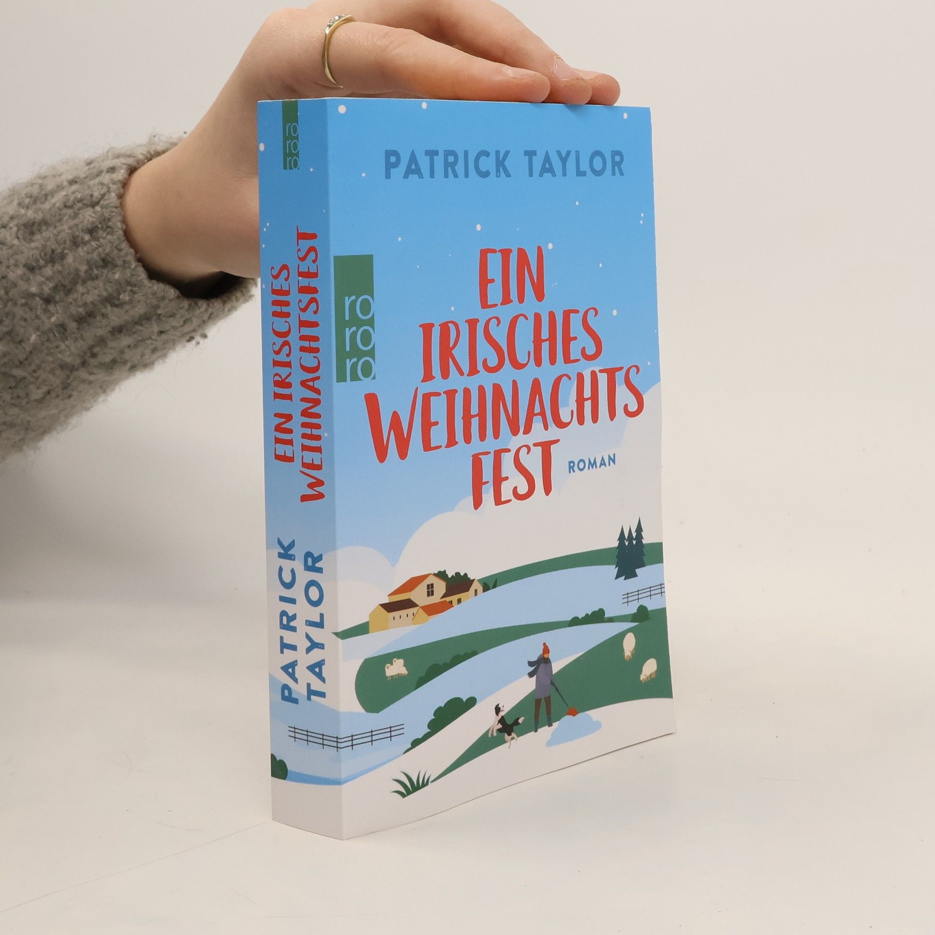 Patrick Taylor Ein irisches Weihnachtsfest / Der irische Landarzt Bd.3